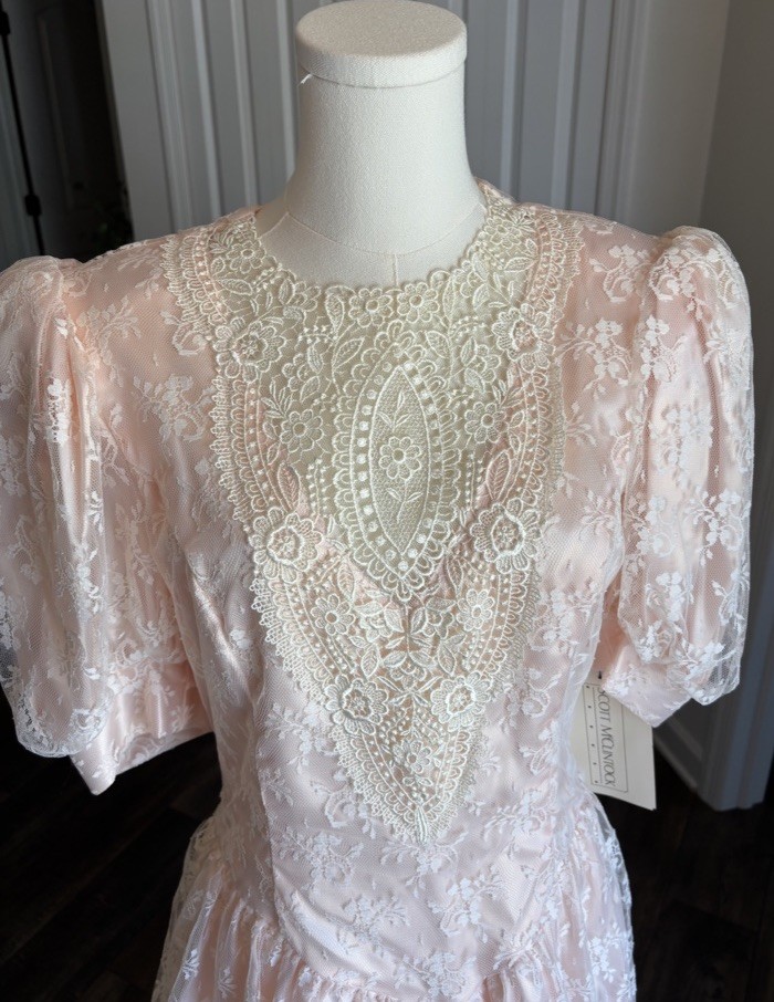NWT Vintage Scott McClintock Blush Wedding Dress Lace Cottage Prom Prairie sz 10