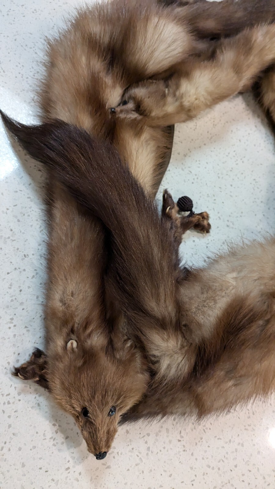 Fabulous VTG Collectible MINK SABLE FUR 3 FULL BODY PELTS Stole WRAP #2