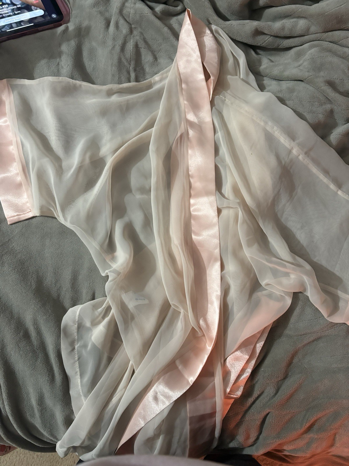 1960s Vintage Intime Of California Pink Sheer Robe