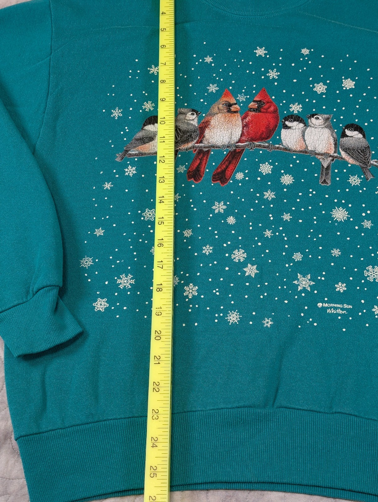 Vintage Morning Sun Whittier Bird Snow Christmas Sweatshirt USA Made Teal Size M