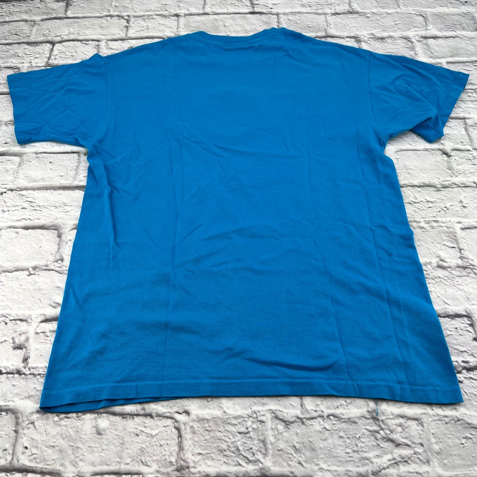 Cheek-O Vintage Blue Floral Embroidered Single Stitch T-Shirt Womens Large USA
