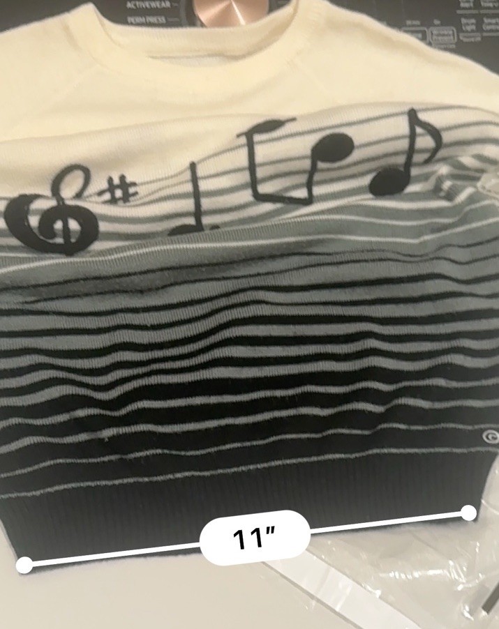 Vintage Cyn Les Shirlee Designs SWEATER Embroidered MUSIC Teacher NOTES XS/S