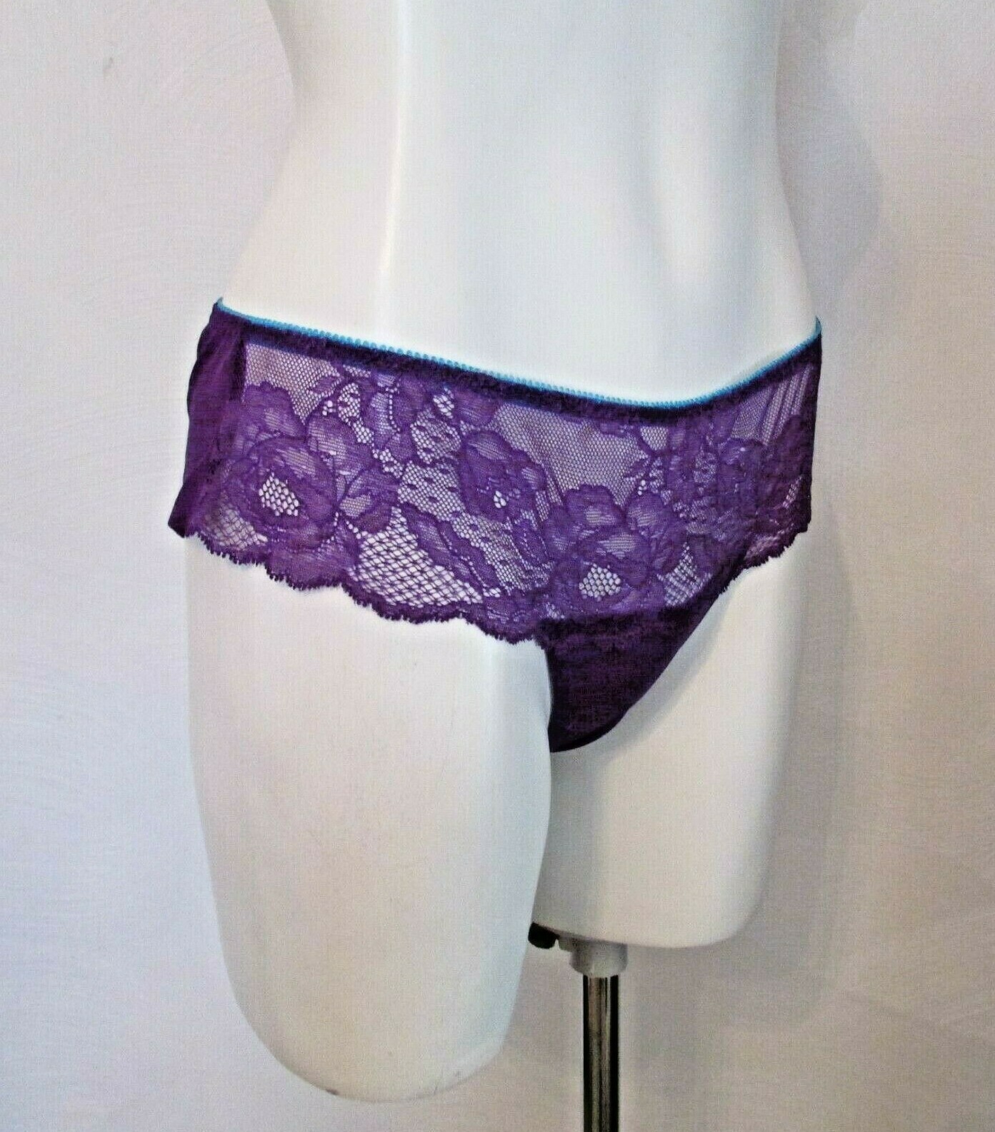 Victoria’s Secret Purple Mesh back Chantilly Lace Front Hiphugger Bikini Panty M