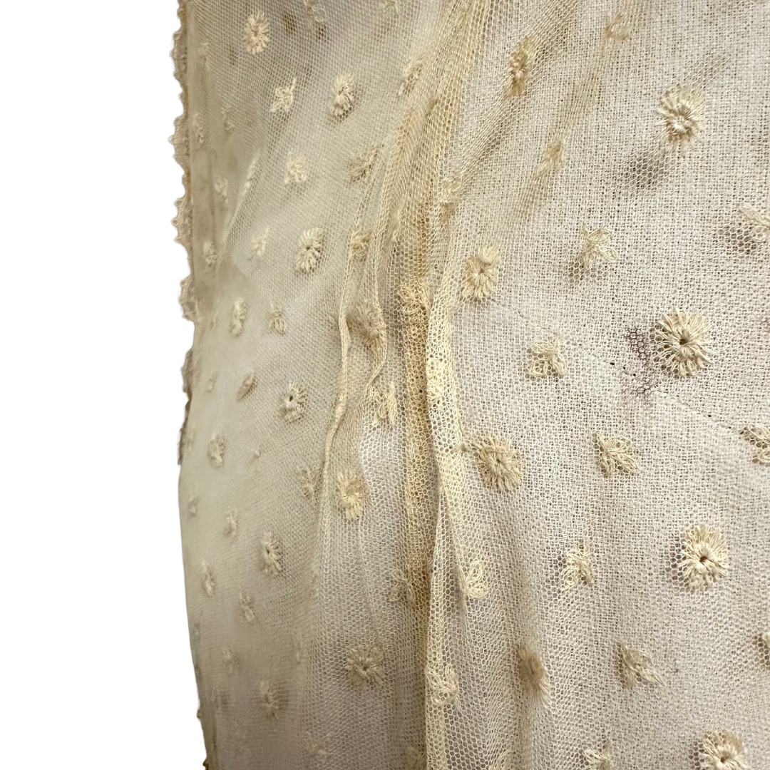 Antique 1900s Edwardian Ecru Net Lace Floral Short Sleeve Sheer Tea Dress