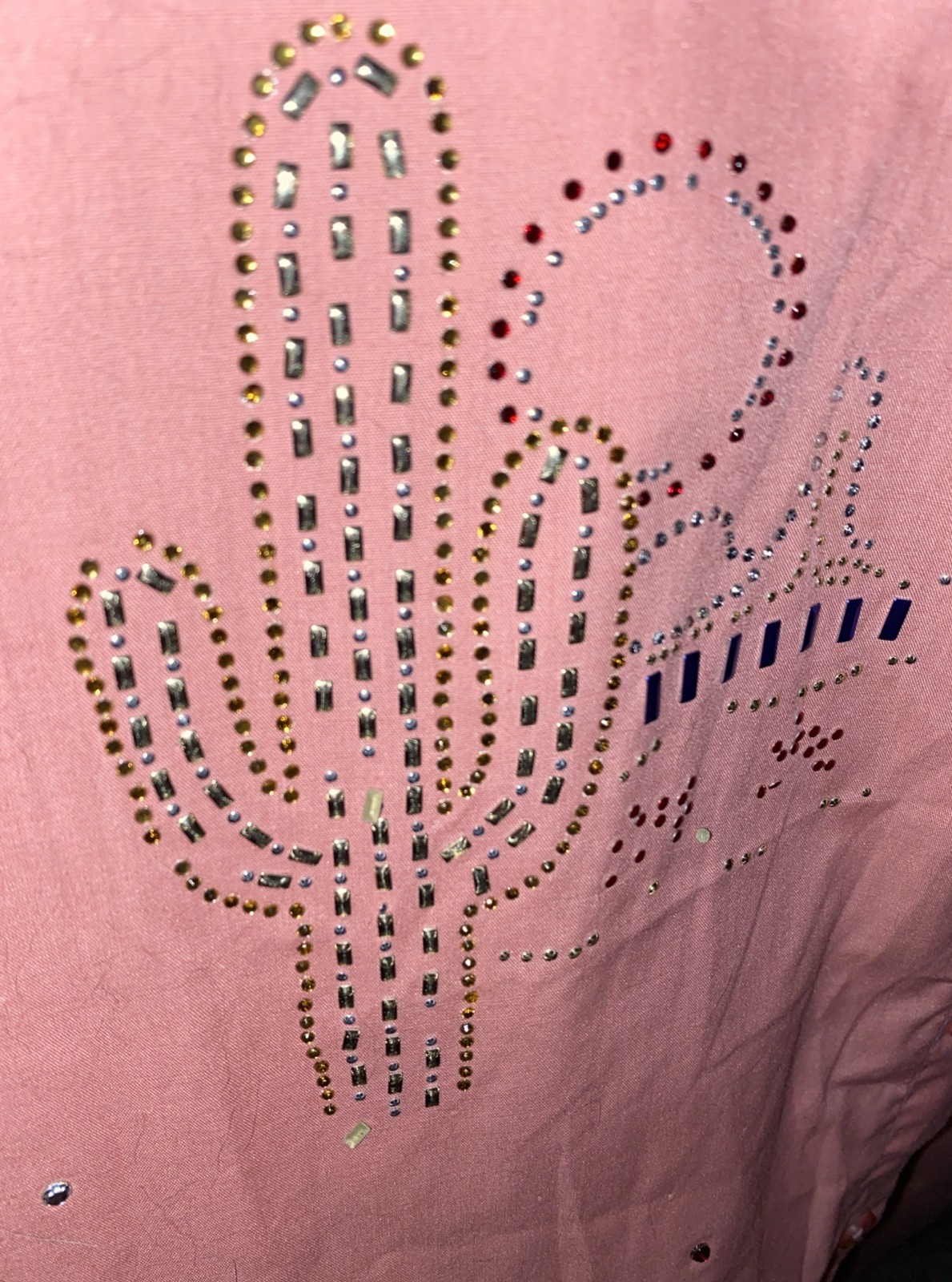 INFINITY – Salmon Shirt XXL Southwest Theme Button Down Embellished NEW FS