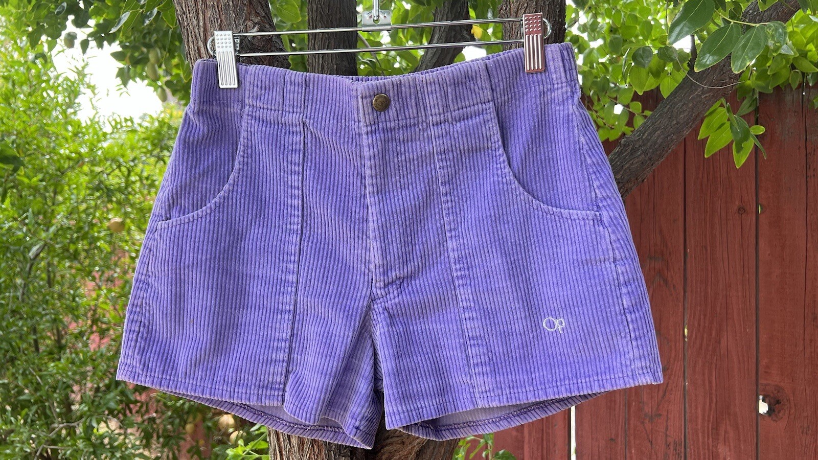 Vintage Ocean Pacific OP Corduroy Shorts Purple 29 Surf Skate Dogtown Longriders