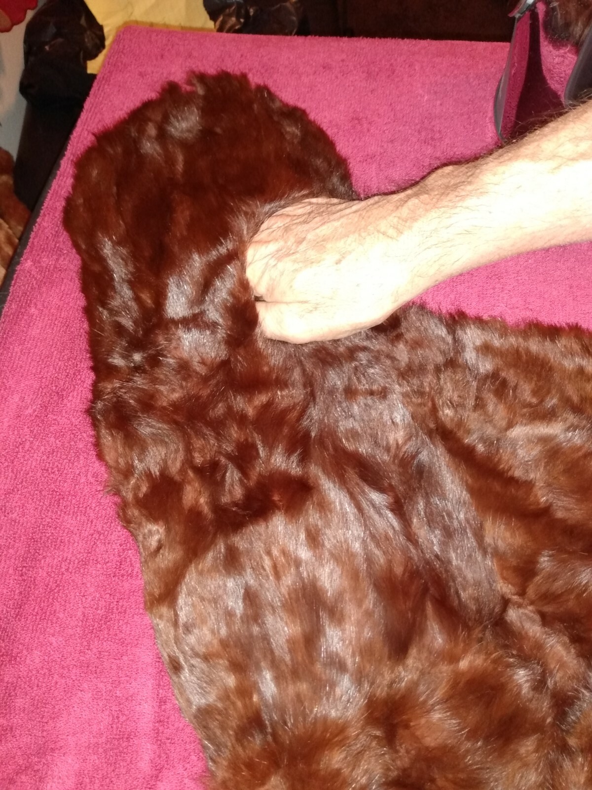 Vintage Fur Stole Wrap Mink or Chinchilla perhaps.