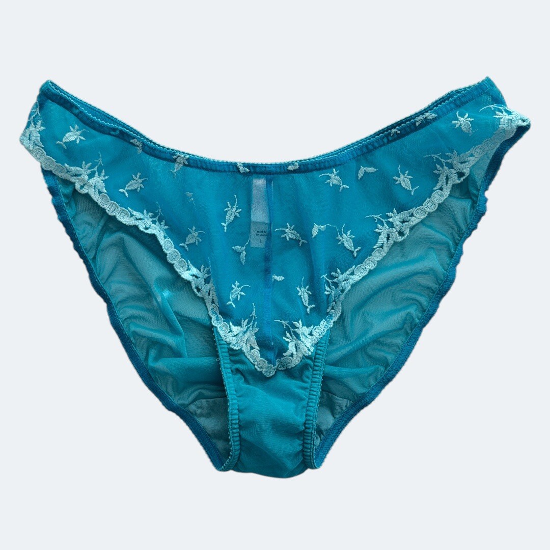 Vtg Victoria’s Secret Blue Y2K Bikini Panty Floral Sheer Mesh Lace Hi Cut Sz L
