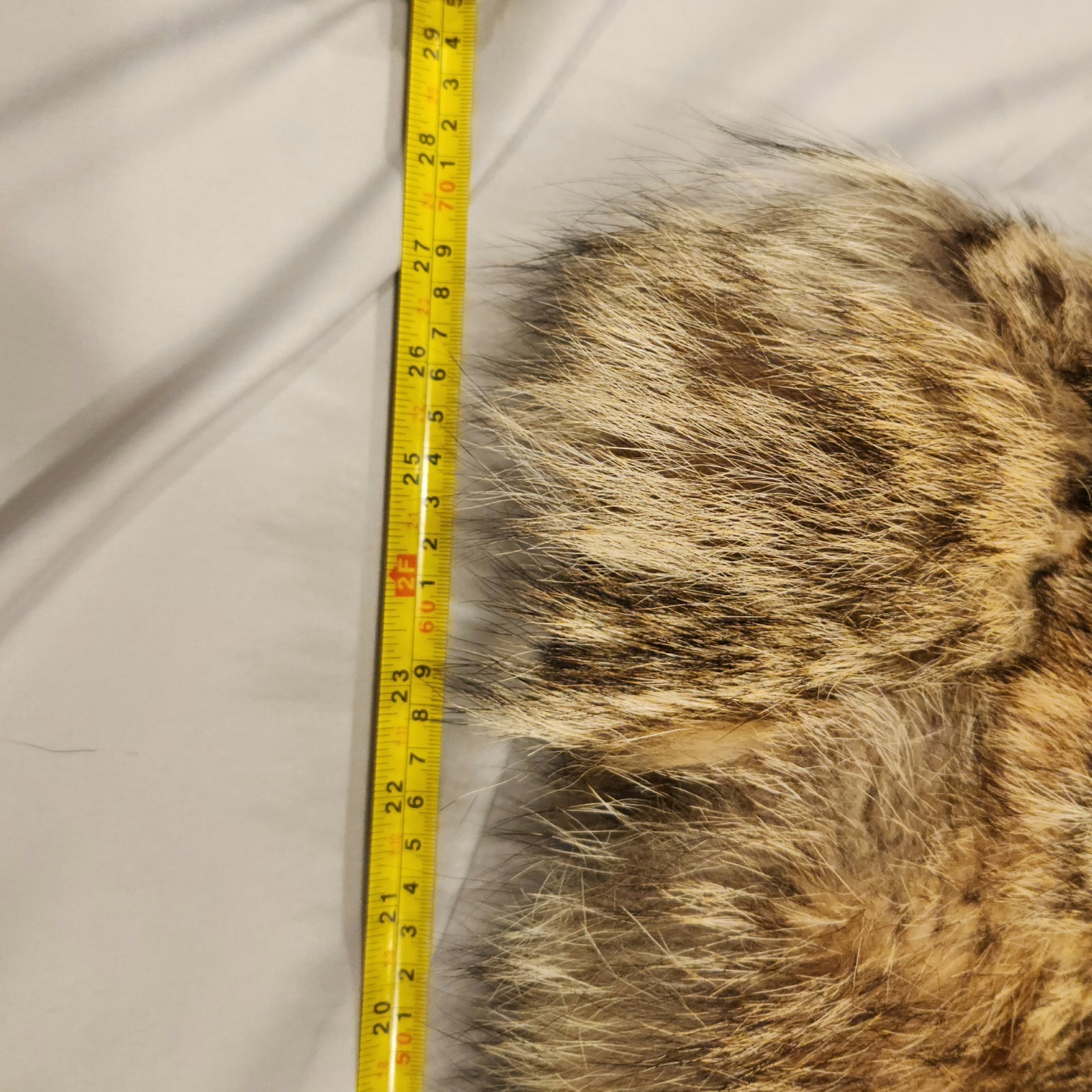 Coat Men’s XL Vintage Fur Coyote Fasion Winter Wear