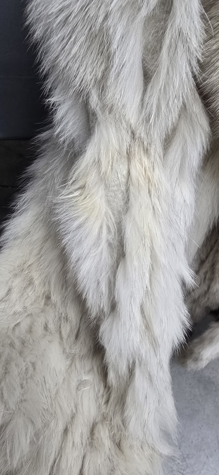vintage Bensky Furs coat From Little Rock Arkansas