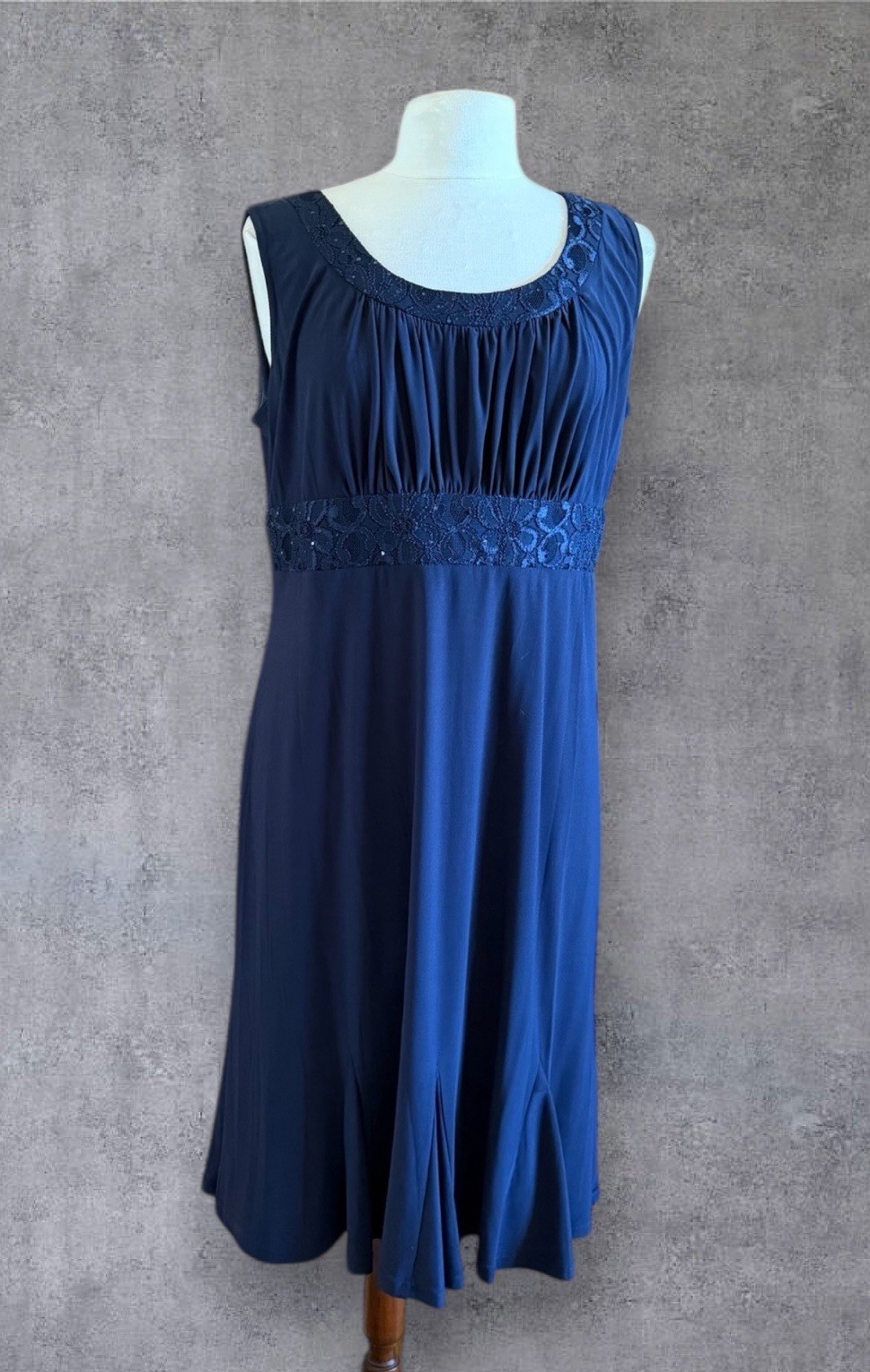 R&M RICHARDS Navy Blue Sleeveless Lace Embellished Neckline & Waist Dress 14