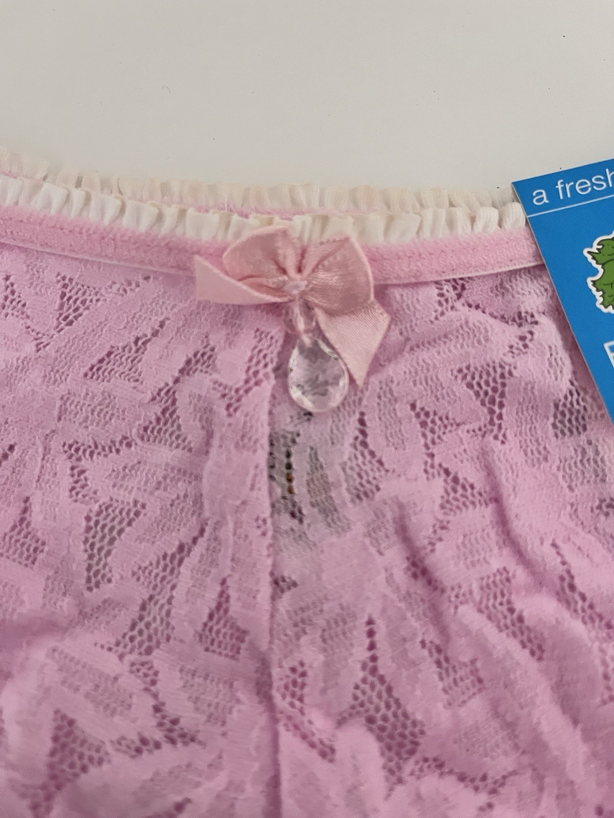 Lace See Thru Boyleg Boy shorts Fruit of Loom NWT Pink Orchid Lacy Panties 7 M