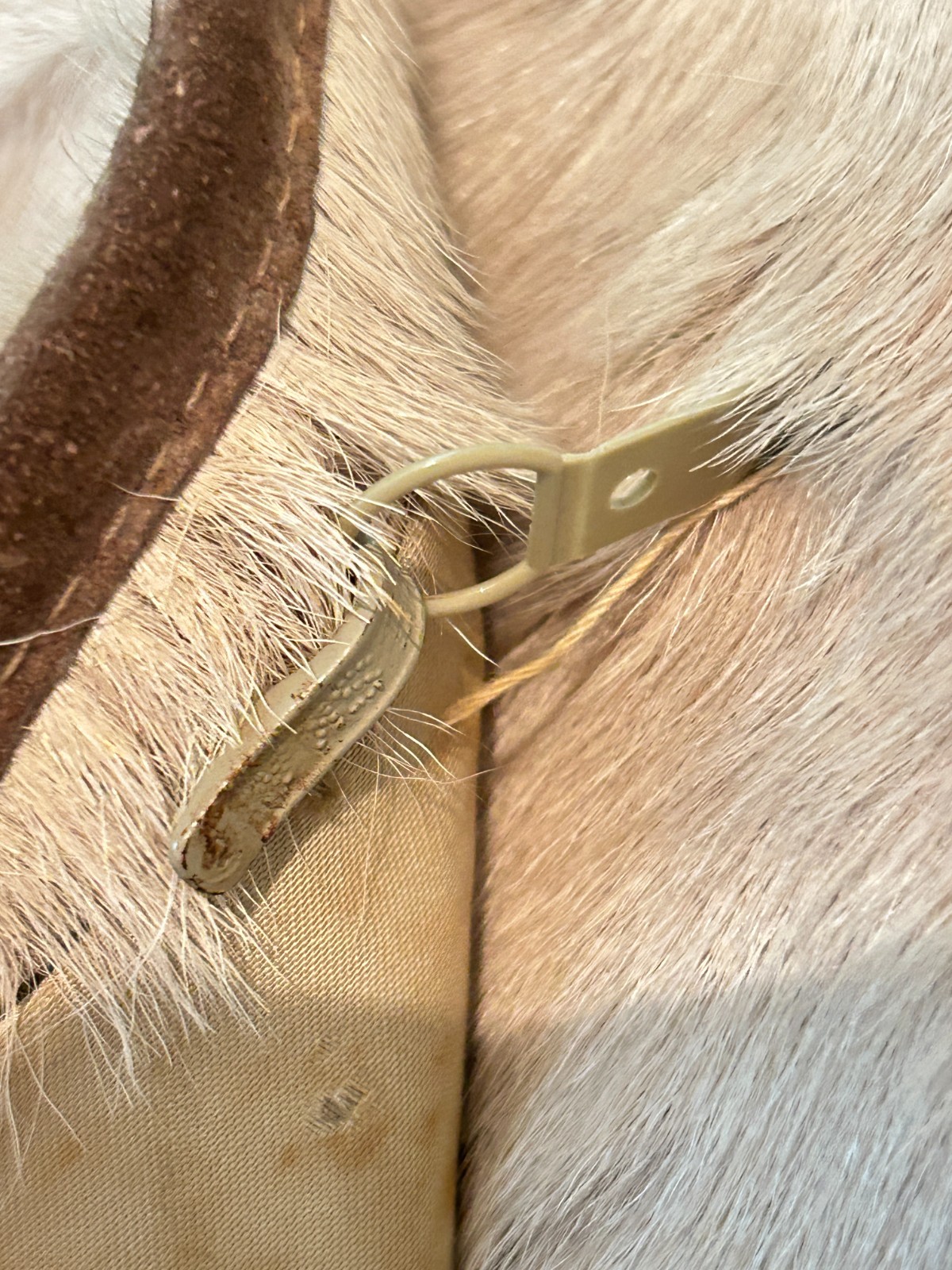READ Vtg 70s Womens Small Medium Cream Full Length Pony Hair Fur Penny Lane