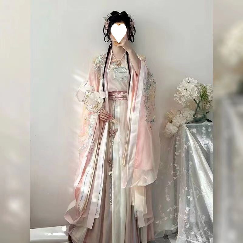 Ancient Chinese Traditional Women Song Dynasty Embroidery Print Hanfu Dress