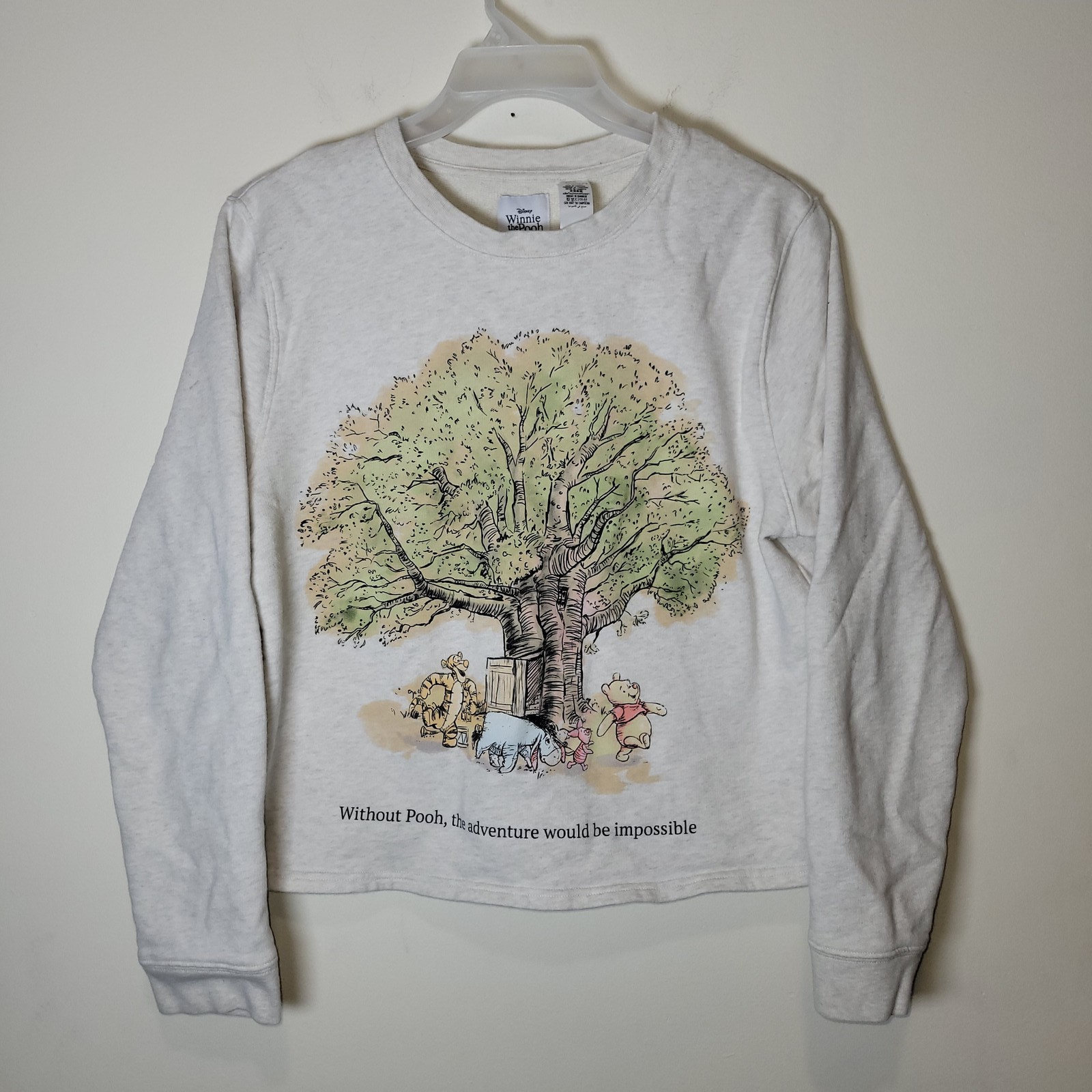 Disney Parks Winnie the Pooh XL Sweatshirt Gray Crewneck Tree Tigger Eeyore READ