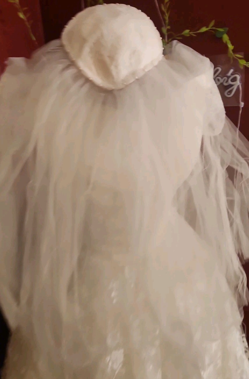 VTG 1950s Cahill Beverly Hills Dress & Veil Set