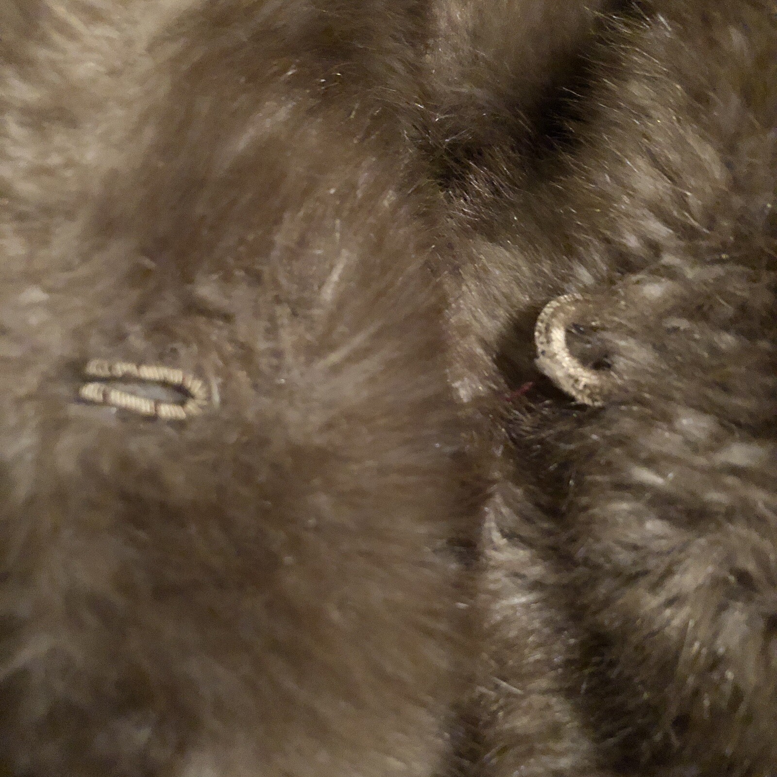 Vintage Faux Fur Ladies Coat Heavyweight Made In USA *Missing 2 Loops For Hooks
