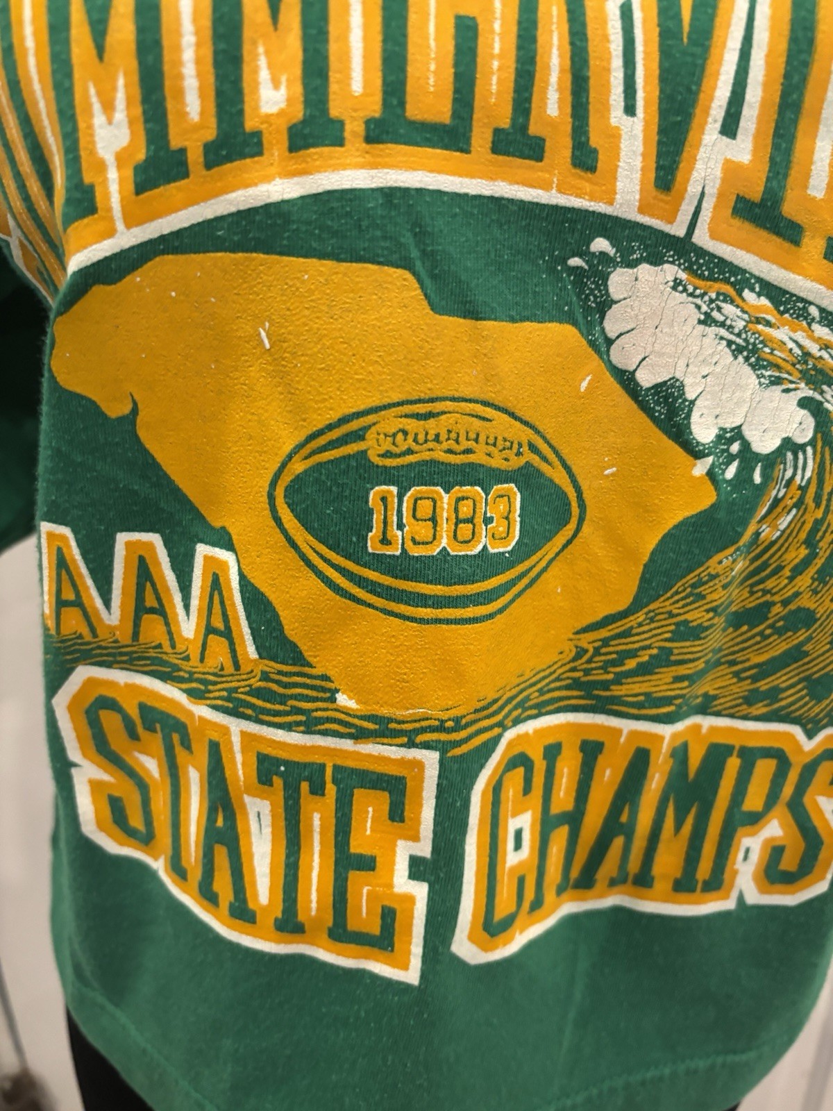 Vintage 1983 Summerville AAA State Champ V Neck Crop Shirt Barbie Sz M
