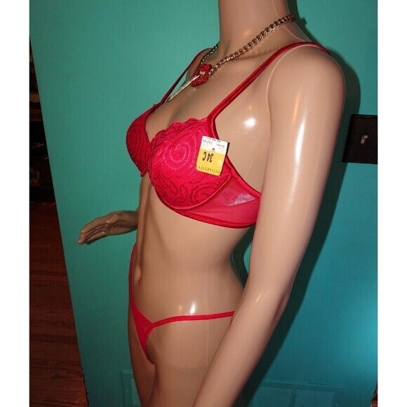 Vintage Vassarette Red Push Up Bra 34 C embroidery fishnet original tags