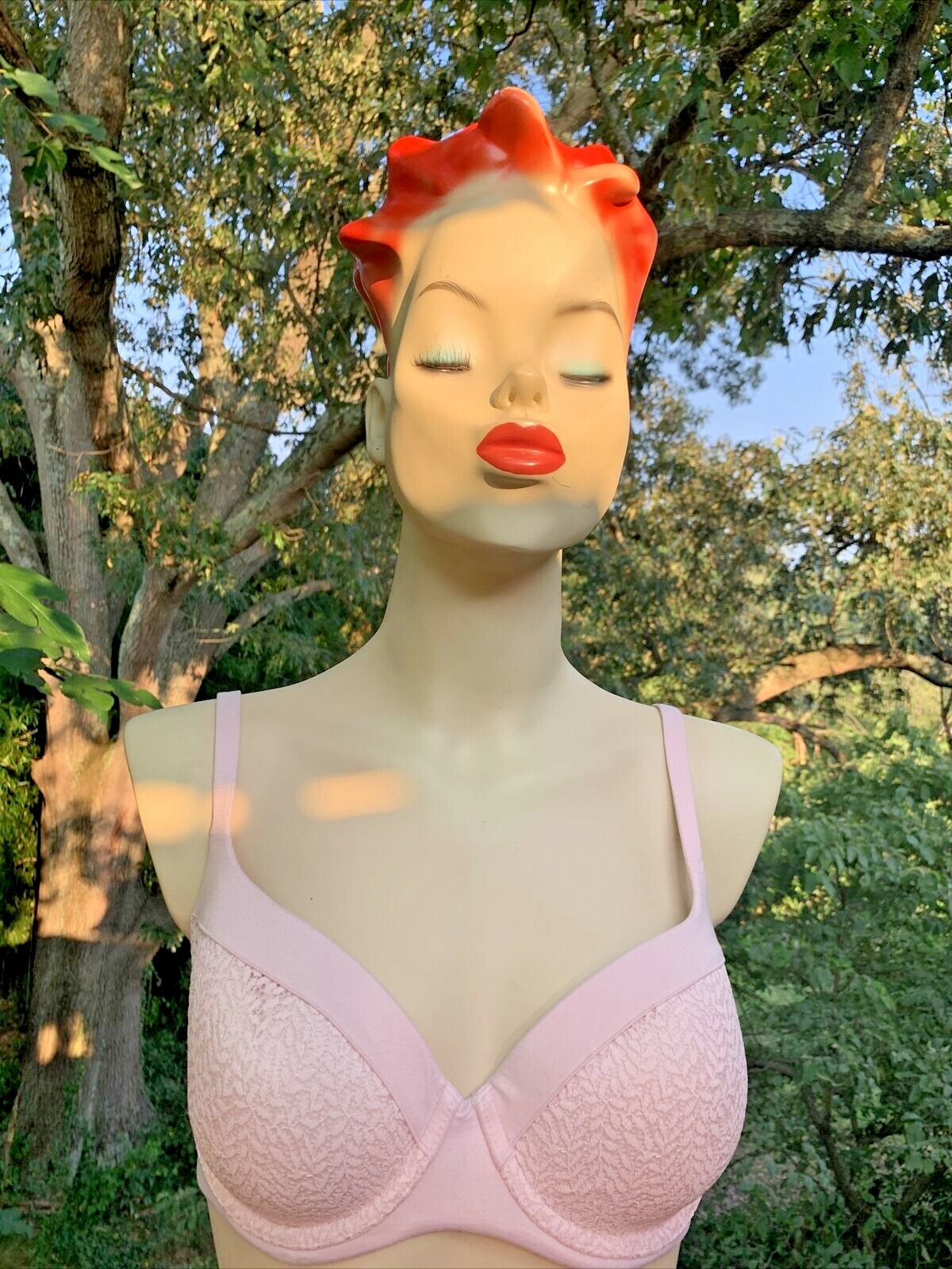 Vintage VICTORIA’S SECRET Lined Demi Double Push Up Bra Size 32DD 32 DD ❤️sj7m27