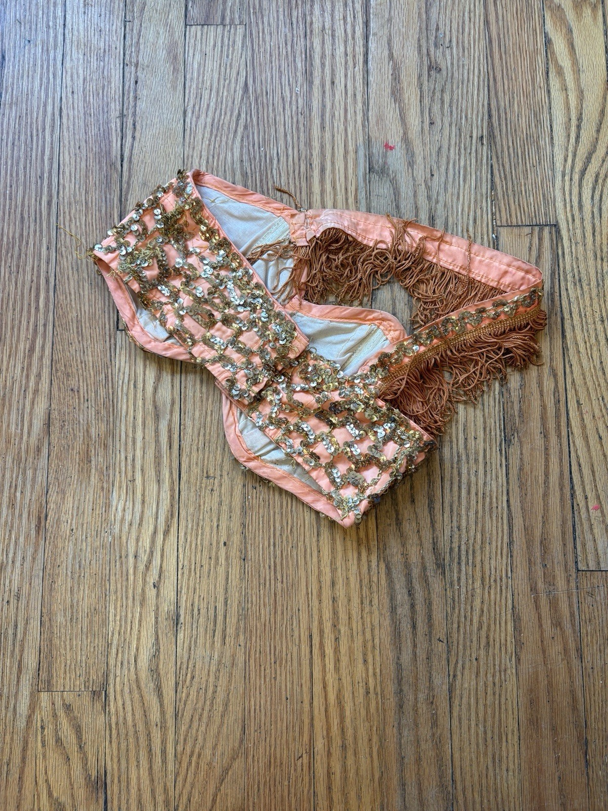 1930’s Sequin And Fringe Burlesque Showgirl Bralette