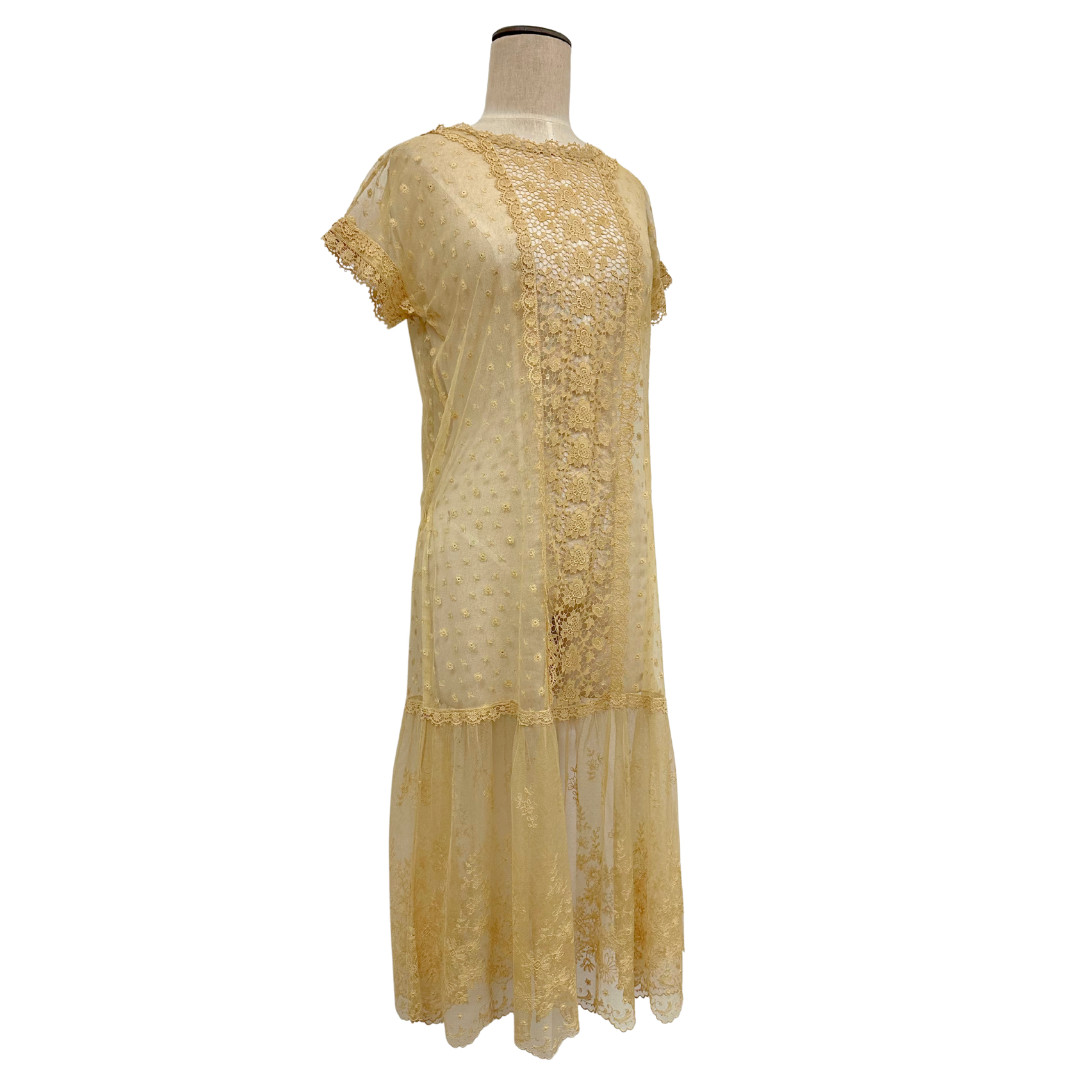 Antique 1900s Edwardian Ecru Net Lace Floral Short Sleeve Sheer Tea Dress