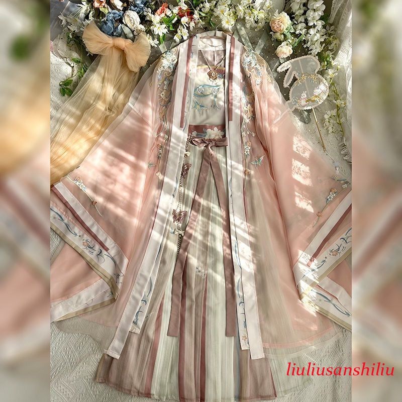 Ancient Chinese Traditional Women Song Dynasty Embroidery Print Hanfu Dress