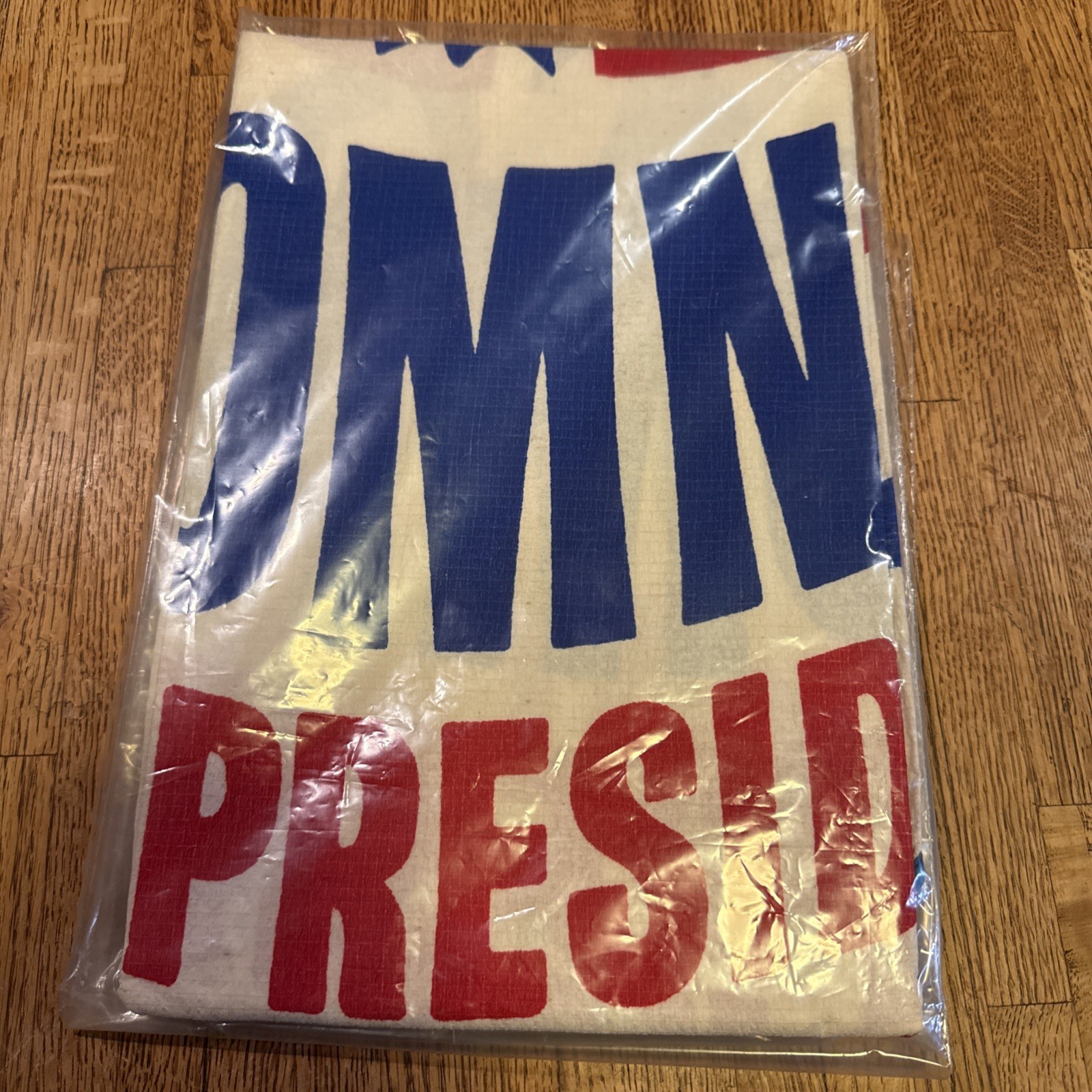 1967-68 Waste Basket Boutique Paper Dress Mars of Asheville, NC Romney President