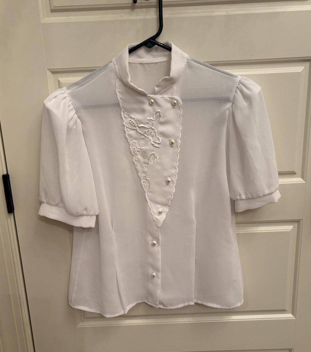 Vtg 50’s white sheer nylon chiffon embroidered secretary geek tailored blouse