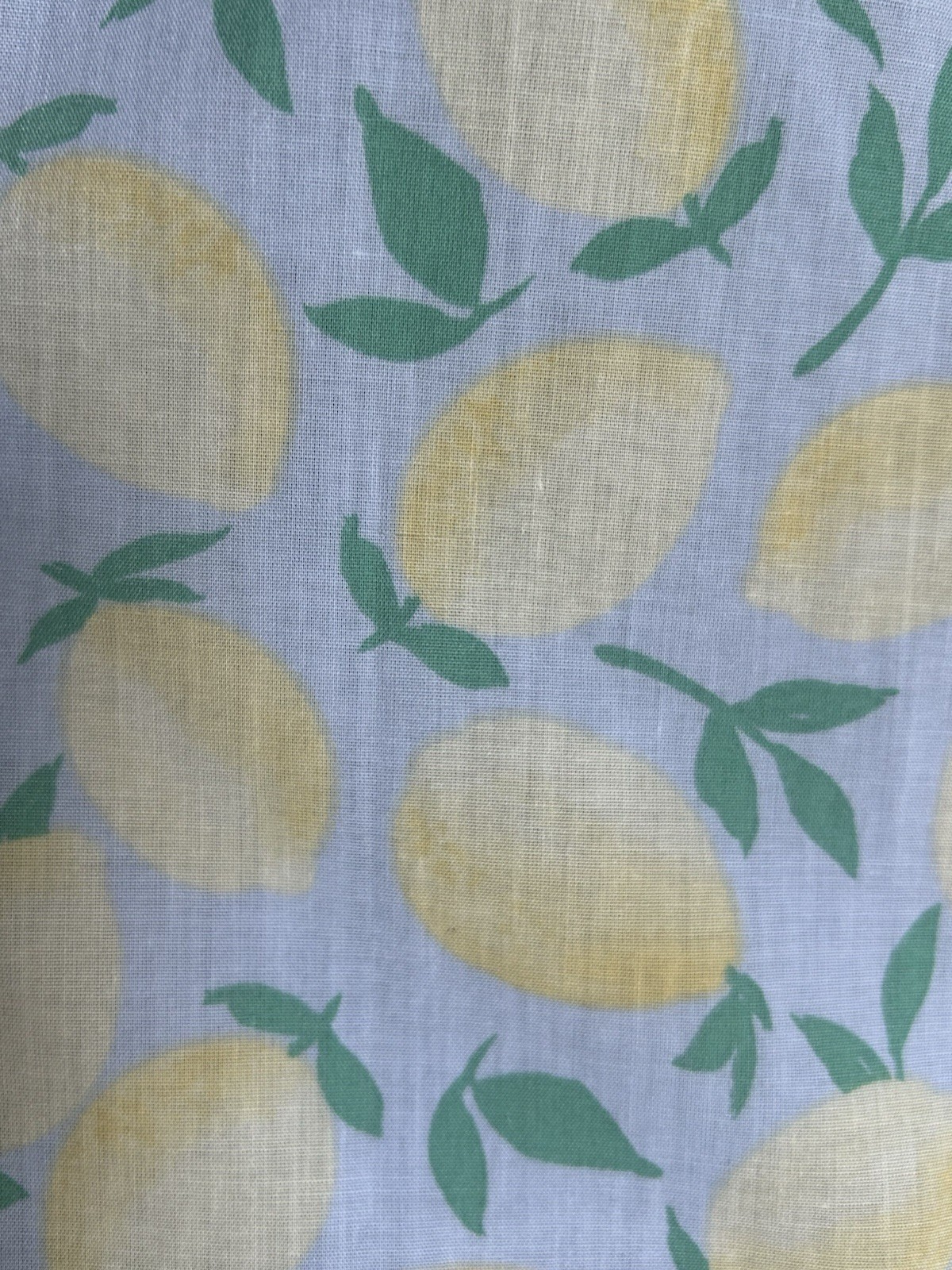 Vintage NATIONAL House Dress Robe Duster Large Blue Yellow Lemon Print EC