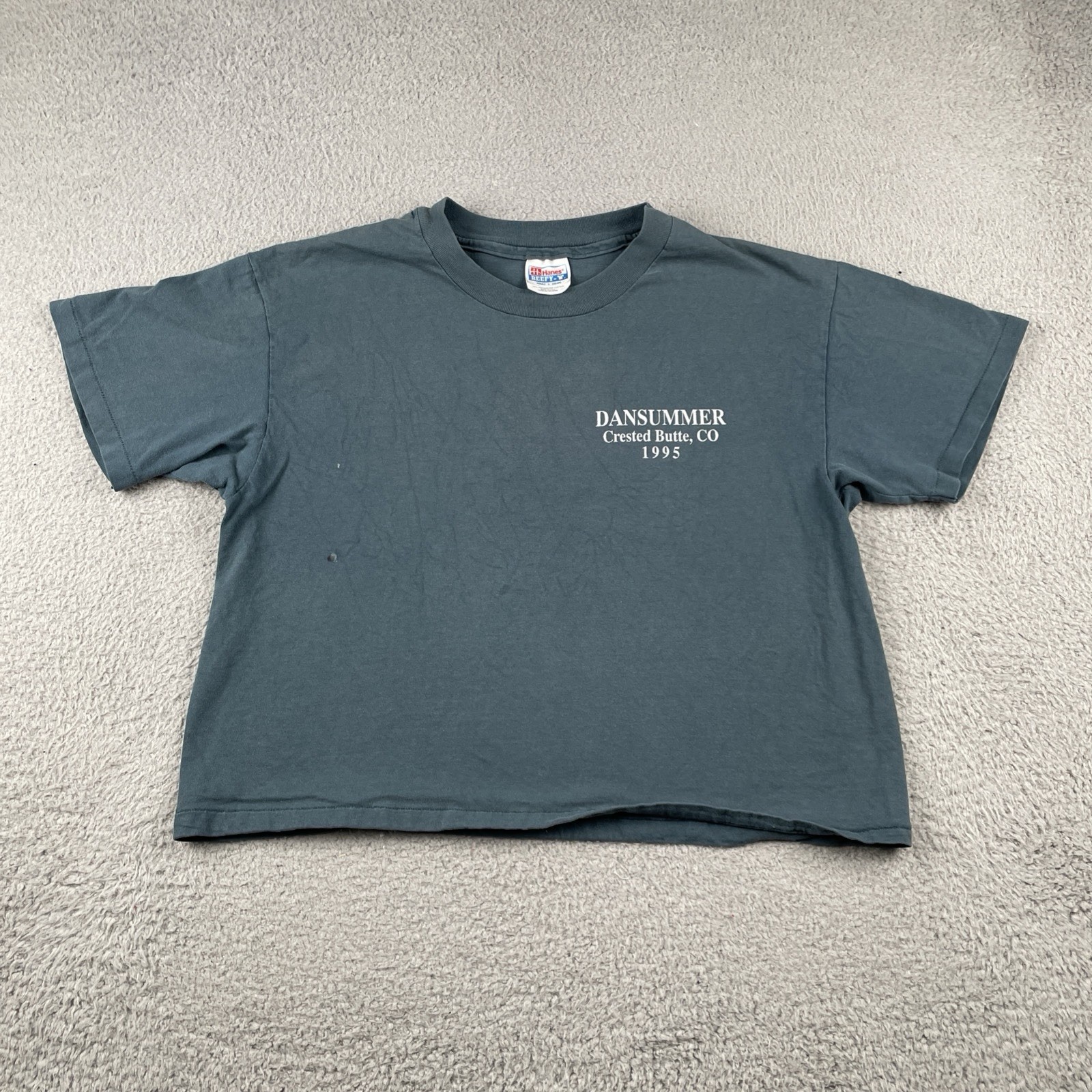 Vintage Hanes L DANSUMMER Dance Crested Butte Colorado Shirt 1995 Cropped USA