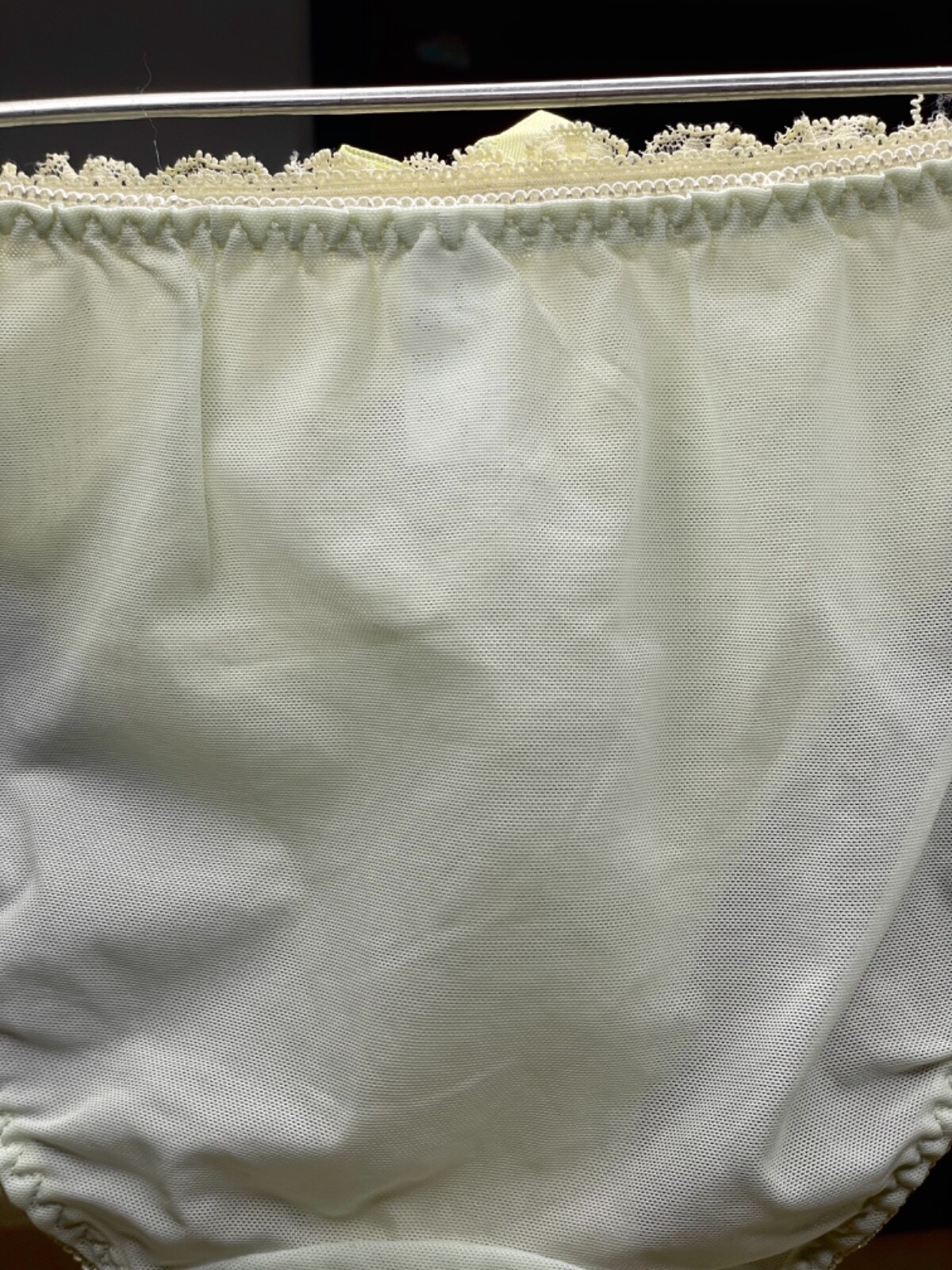 Vintage Silky Pale Nylon Mesh Sissy Panty Sz.5 Floral Lace Briefs Hip 34-37″