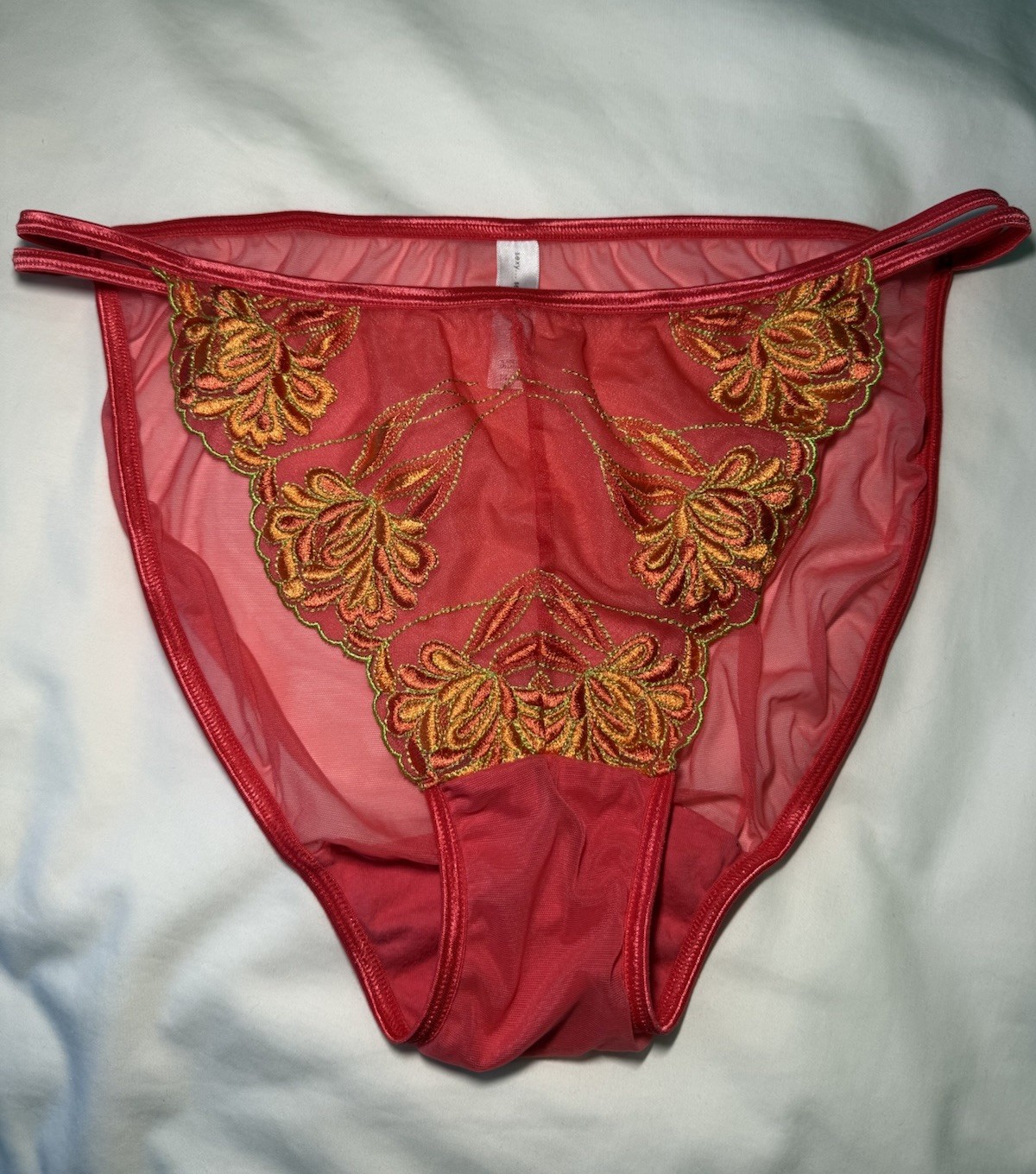Vintage Y2K Cacique Satin Sheer Double String Bikini Panties Size 14/16