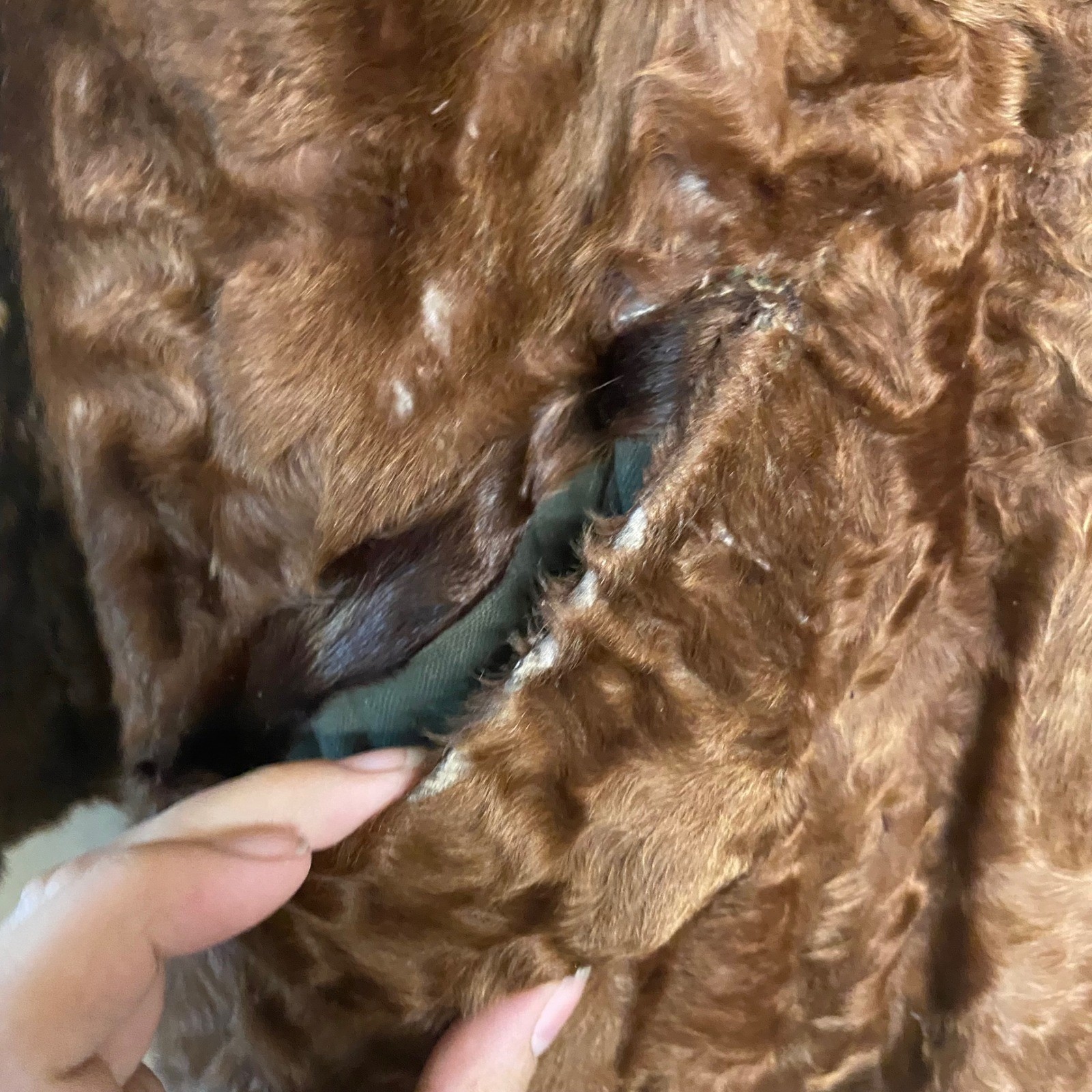 Vintage Mackenzie Furs Brown Mouton Fur Coat Jacket Milwaukee New York