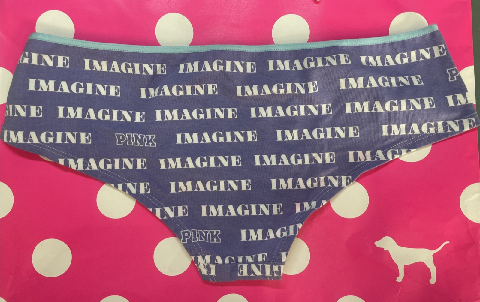 2009 Victoria Secret PINK Vintage Cotton Extra Low Rise Hipster Panty M IMAGINE