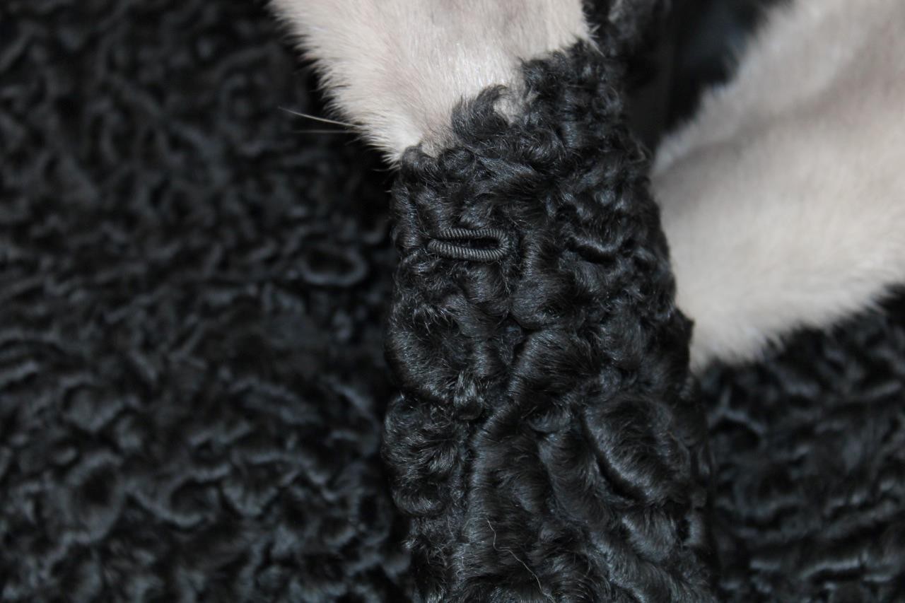 WOMAN VINTAGE GENUINE BLACK PERSIAN LAMB FUR COAT SZ S-M~GREY MINK COLLAR~CURLY