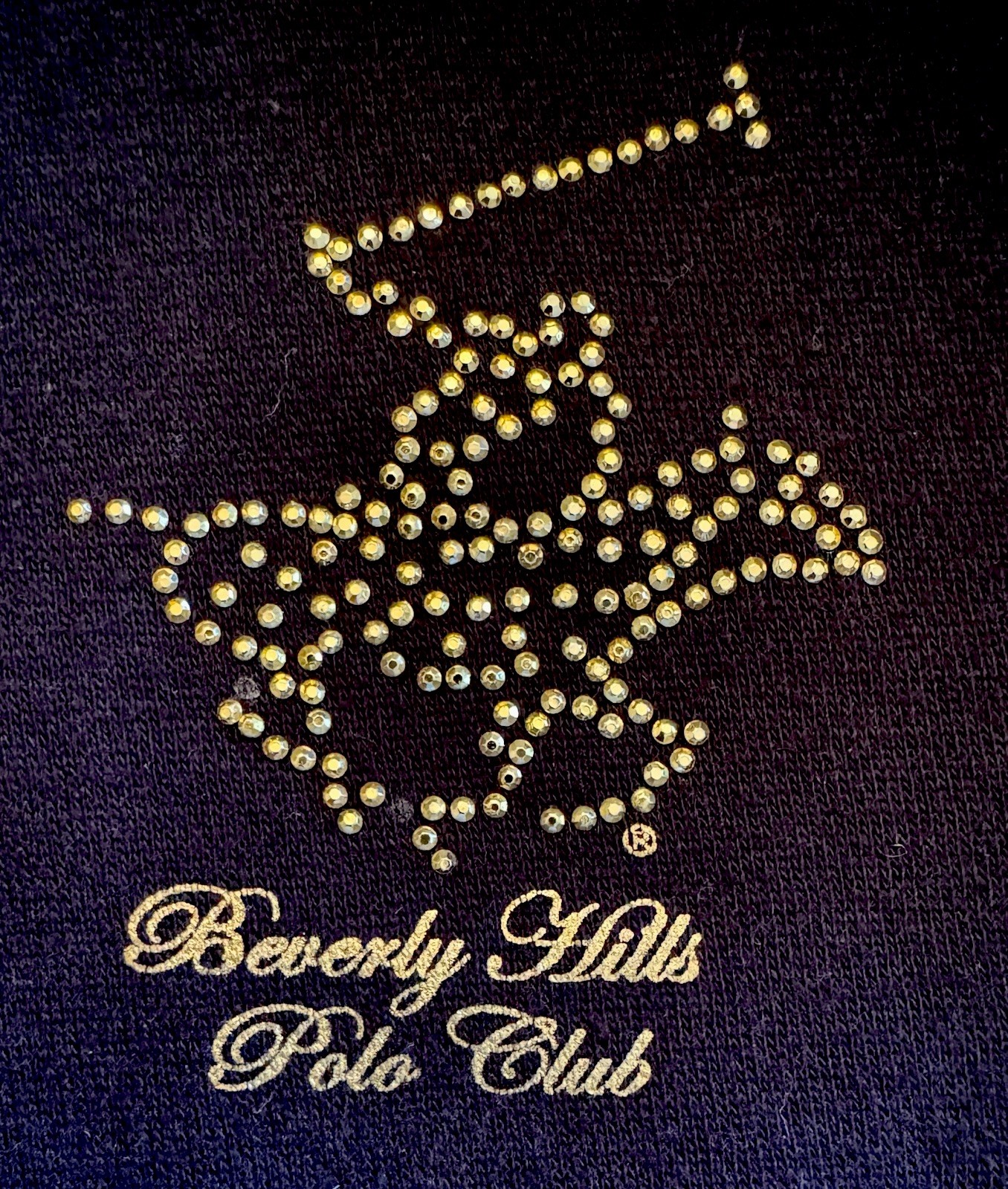 VTG BEVERLY HILLS POLO CLUB Black Velour Full Zip Hoodie Rhinestones & Pony (L)
