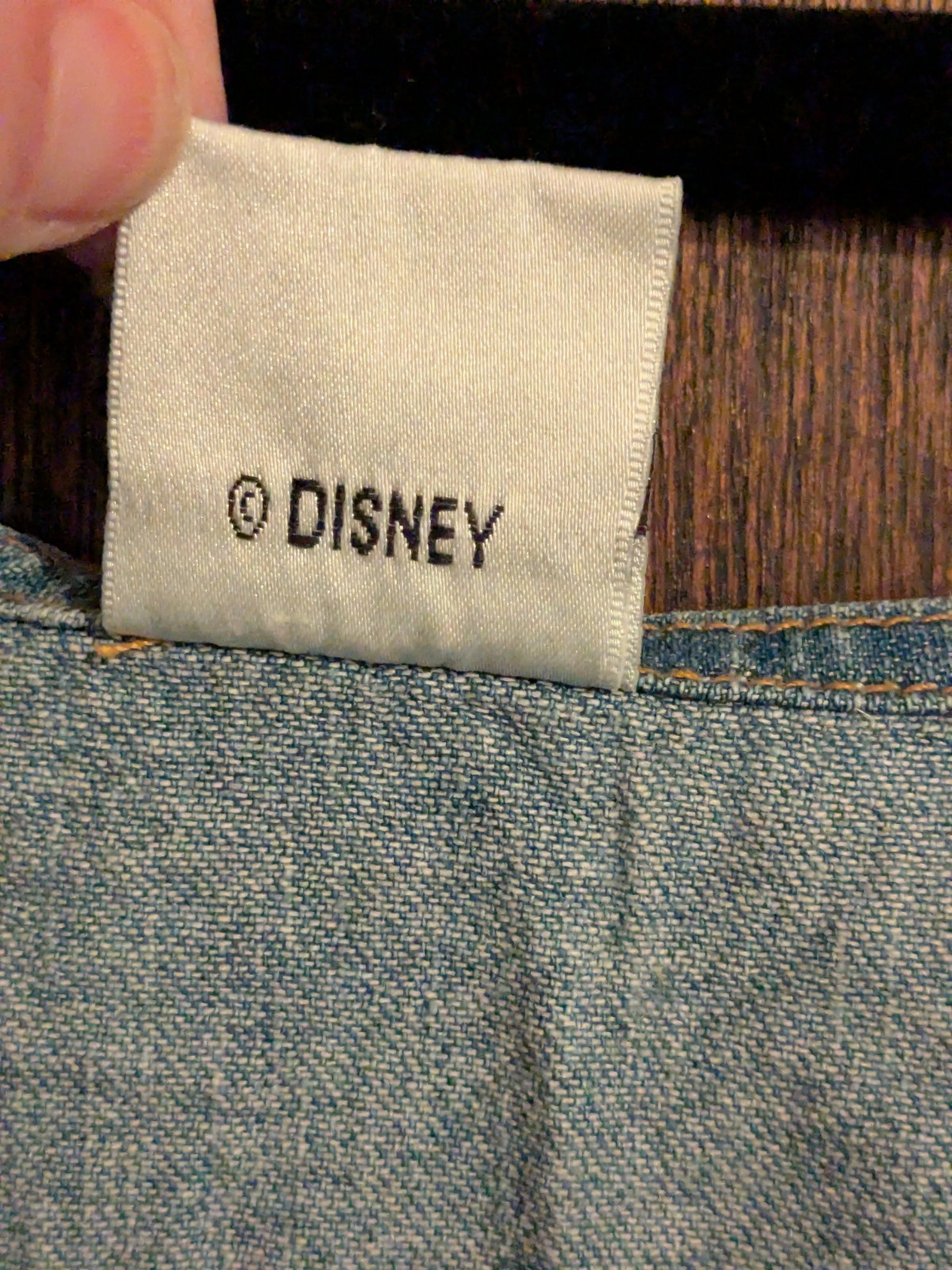 Vintage Winnie The Pooh XL/1x Button Up Denim Dress