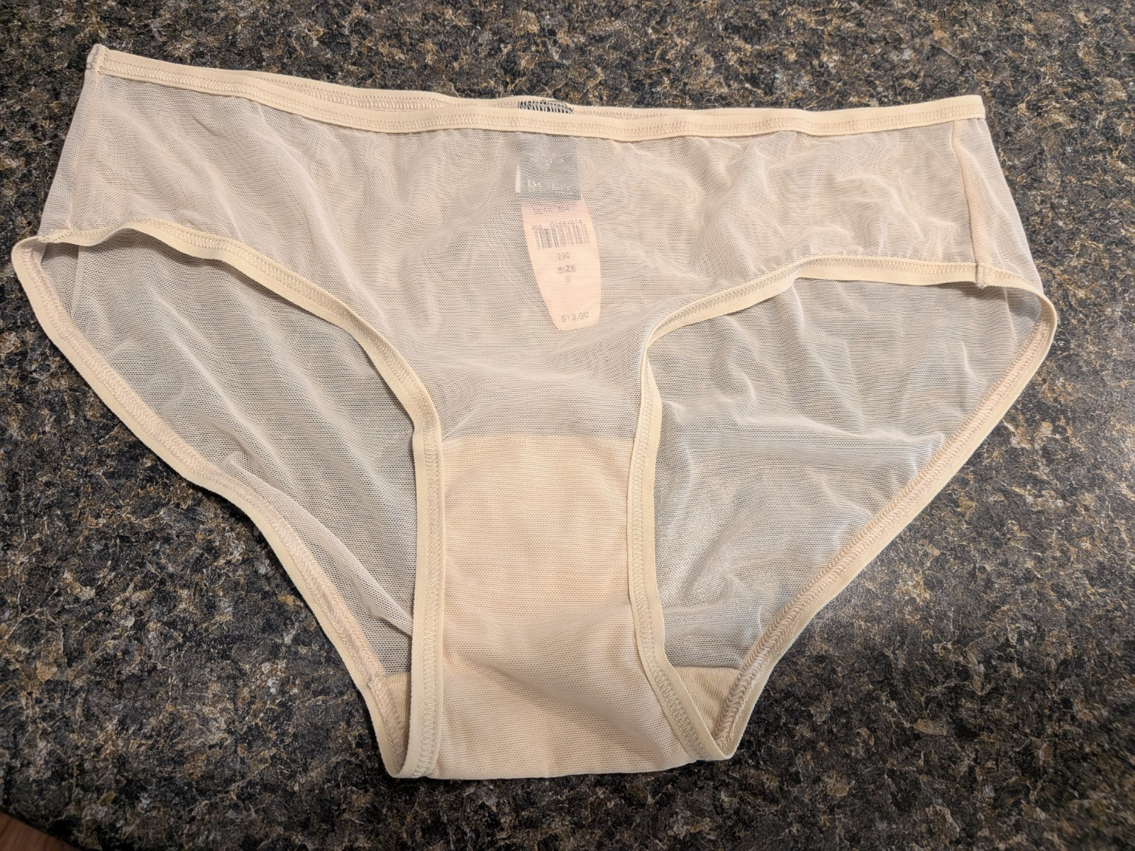 Vintage 2005 Body by Victoria Secret Sheer Mesh Hiphugger low rise panties nude