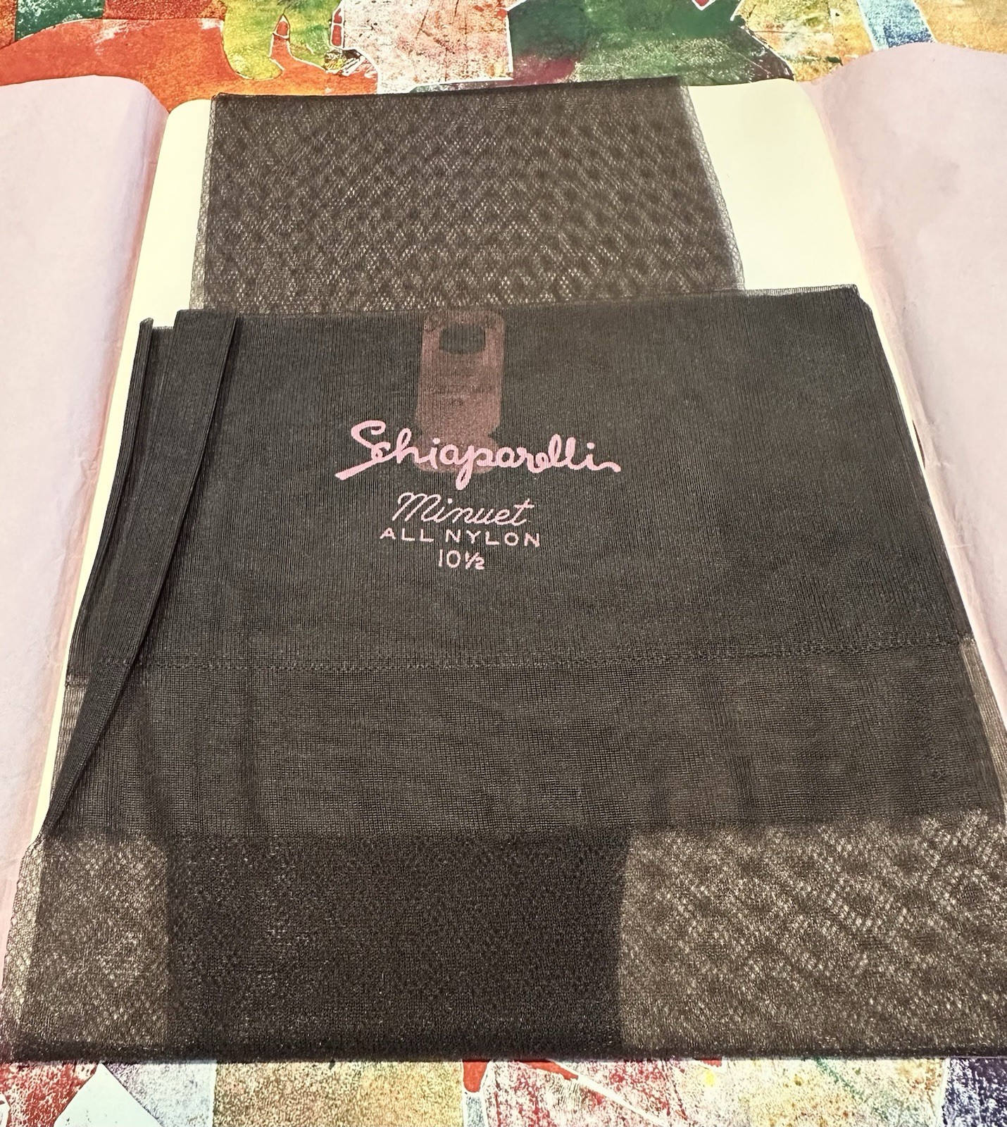 Vintage Schiaparelli Minuet Nylon stockings 10 1/2
