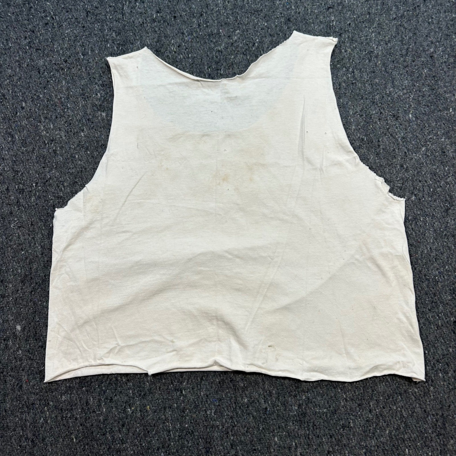 Arizona Desert Tank Top Sz L Womens White Grunge 94 VTG Bull Skull Crop Thrashed