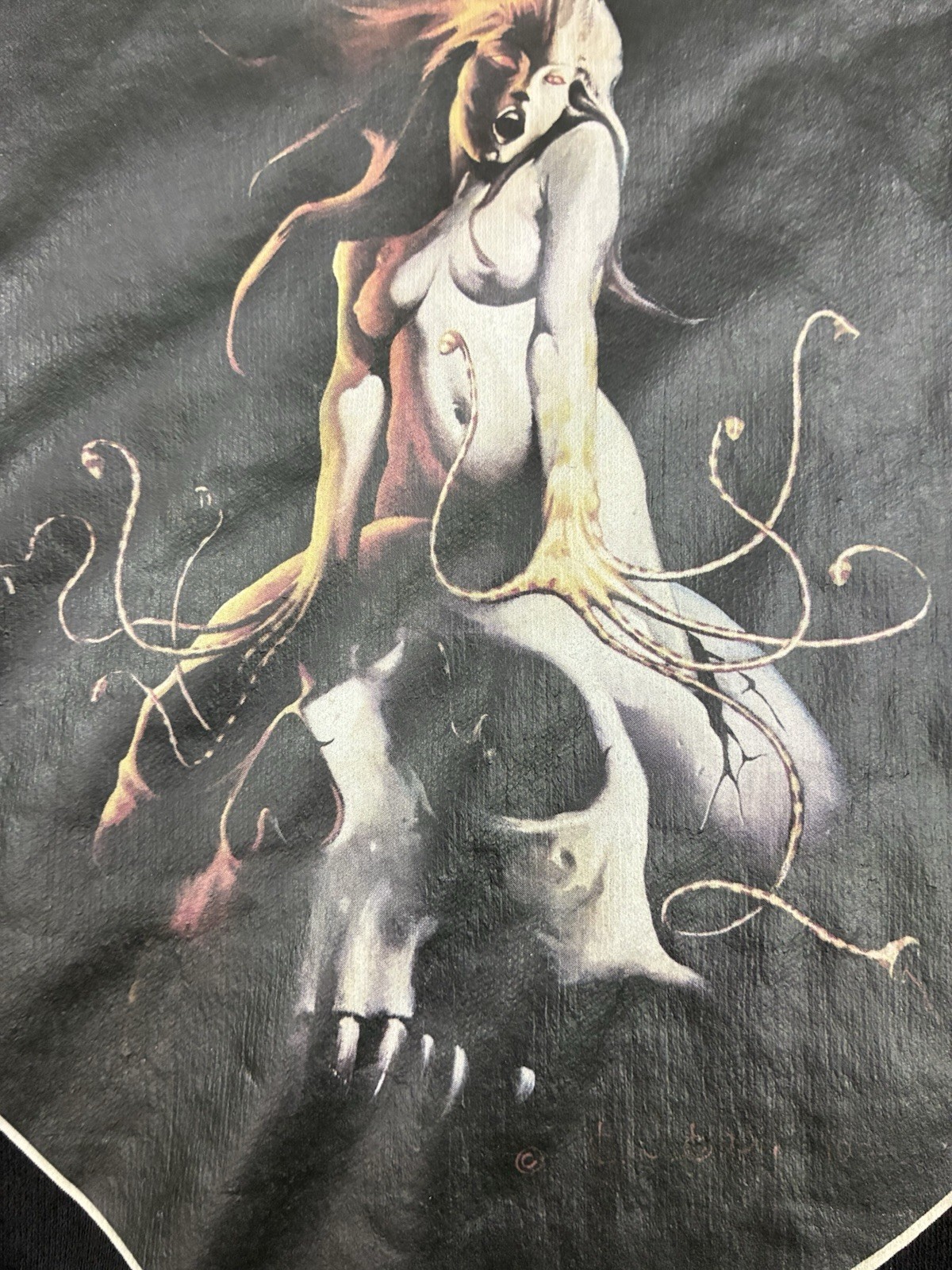 Vtg 70s ROACH Iron On T Shirt M Womens Fantasy Succubus Skull Metal Dark Art