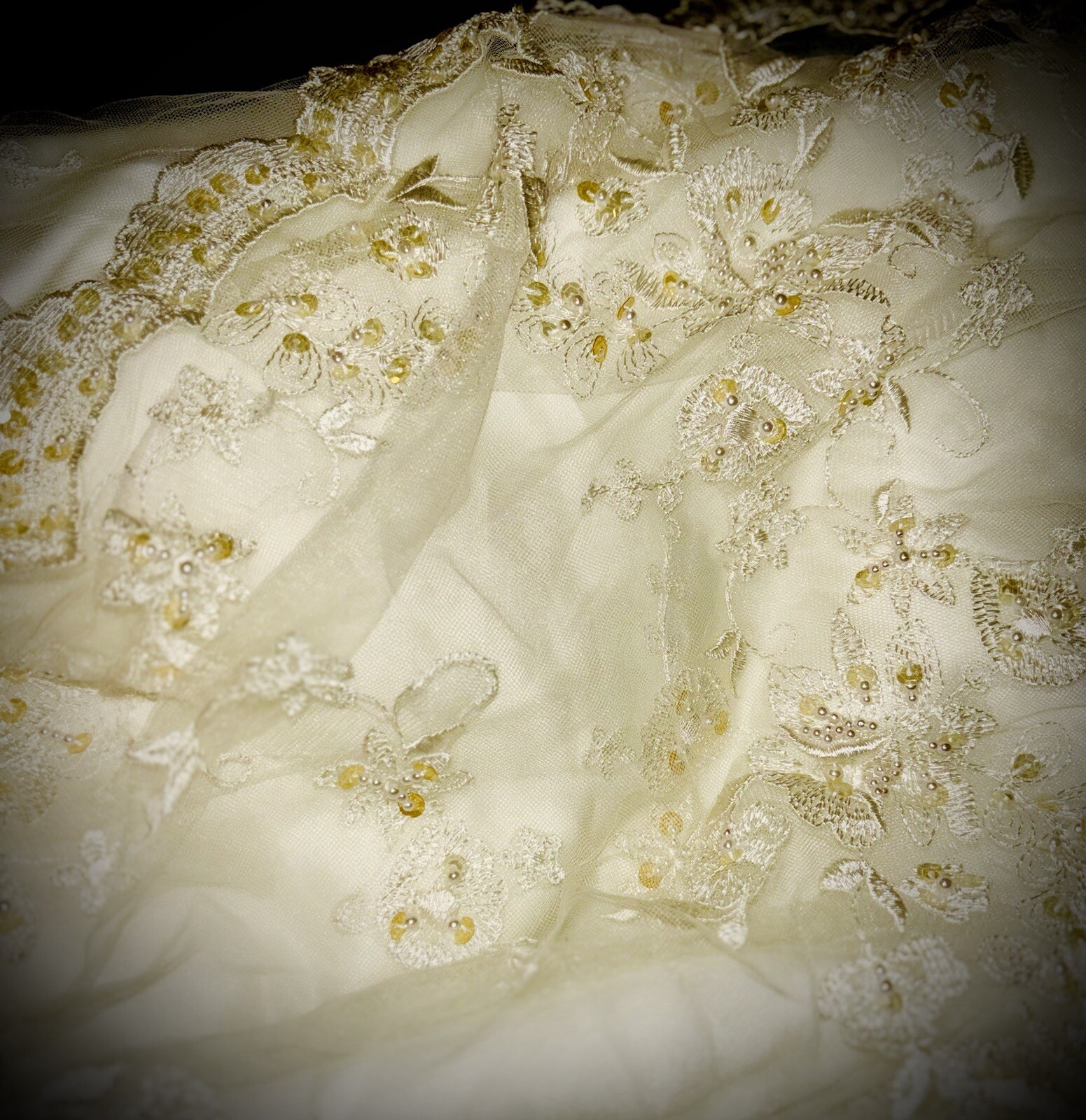 Classy And Classic, Deneki’s, Beaded Lace And Train