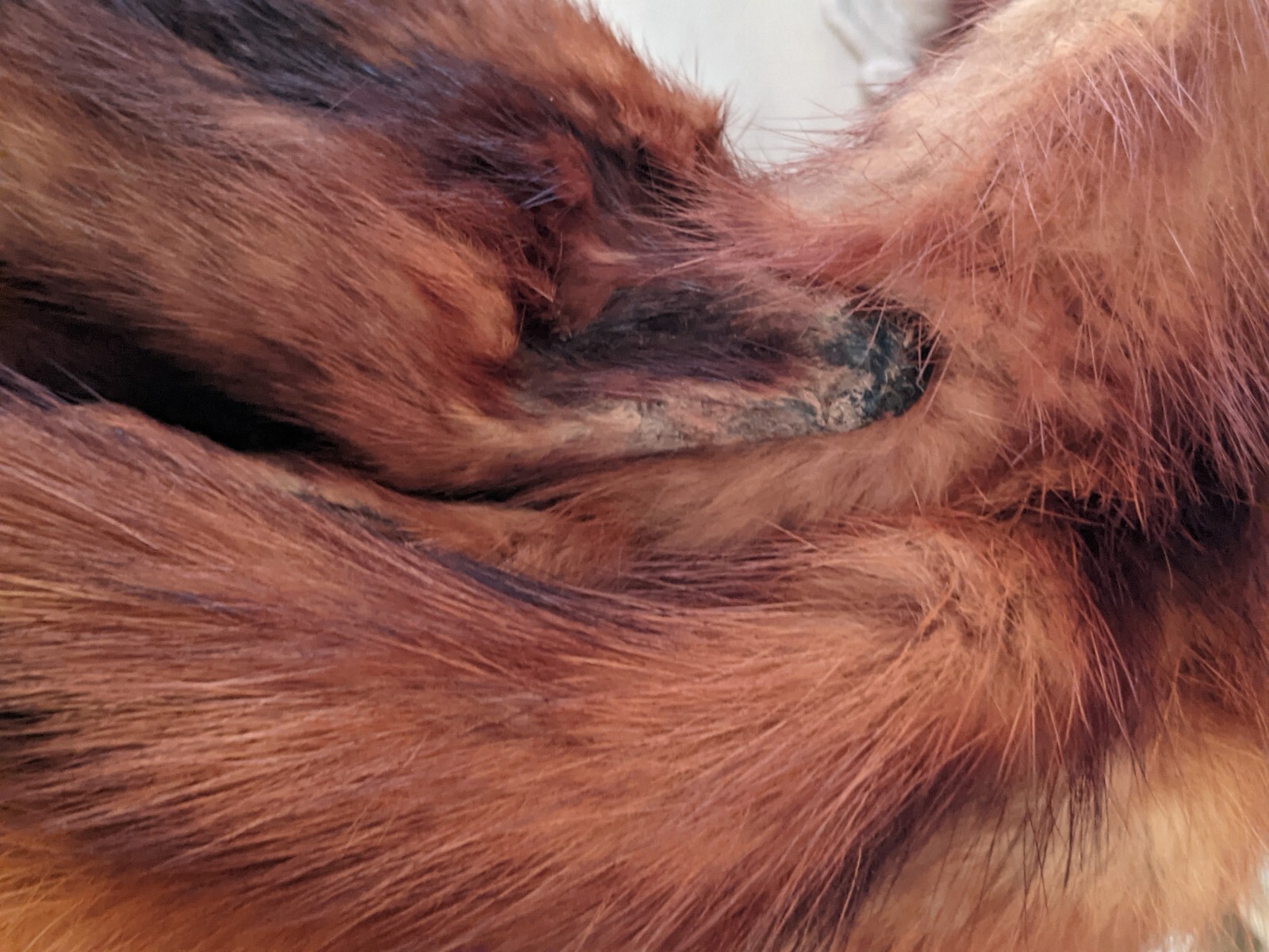 Vintage 6 Pelt Mink Fur Stole Scarf Shaw 44 inches Long Mouth Clasp Or Button