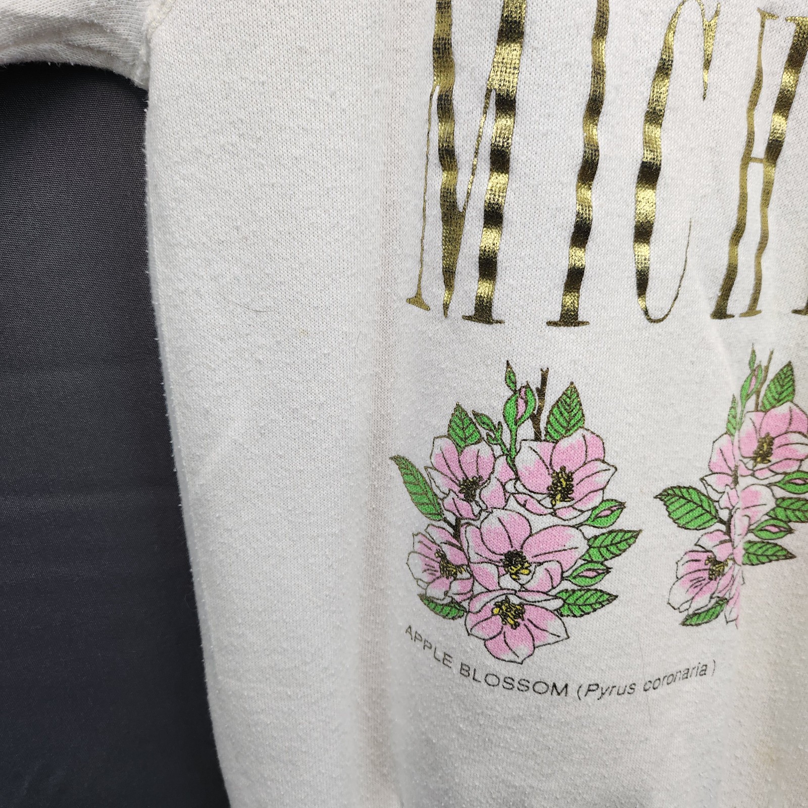 VTG Michigan Apple Blossom Flower Floral State Travel Tultex Crewneck Sweatshirt
