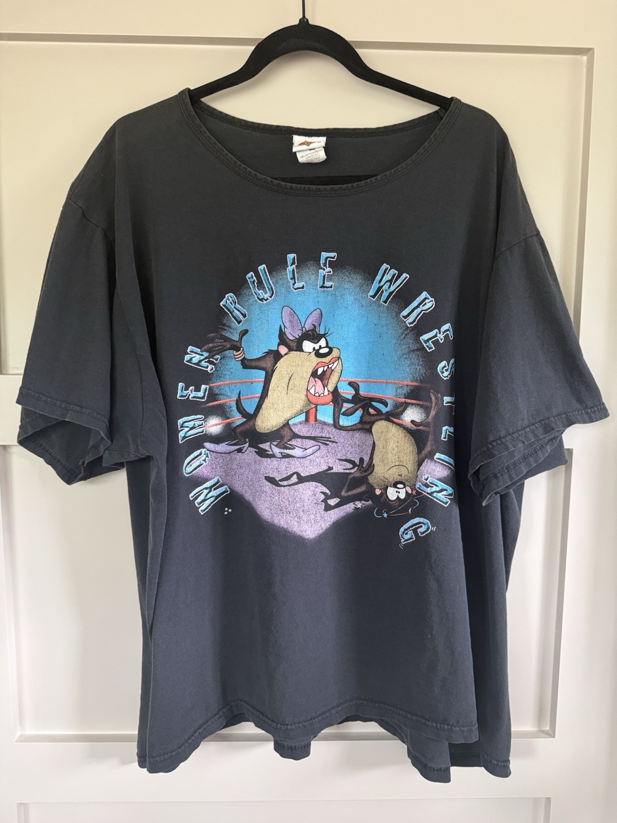 Vintage Tasmanian Devil Graphic 26W 28W Vintage 90s Y2K Looney Tunes Tee Women