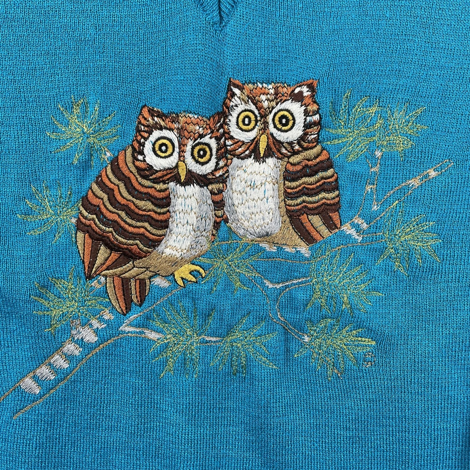 VTG 70s Cyn Les Owls Sweater Womens Large Whos Whoooo VNeck