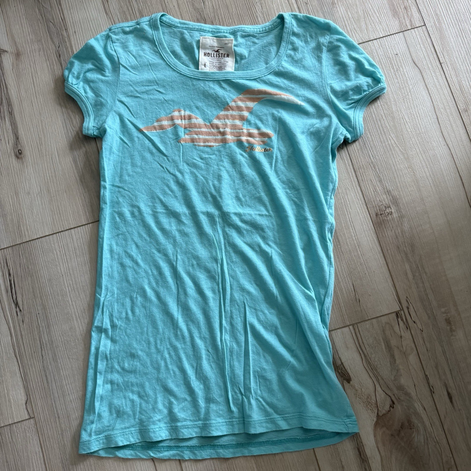 Vintage Y2K Hollister So Cal Blue Seagull Tee Shirt Babydoll Sleeves Size Large
