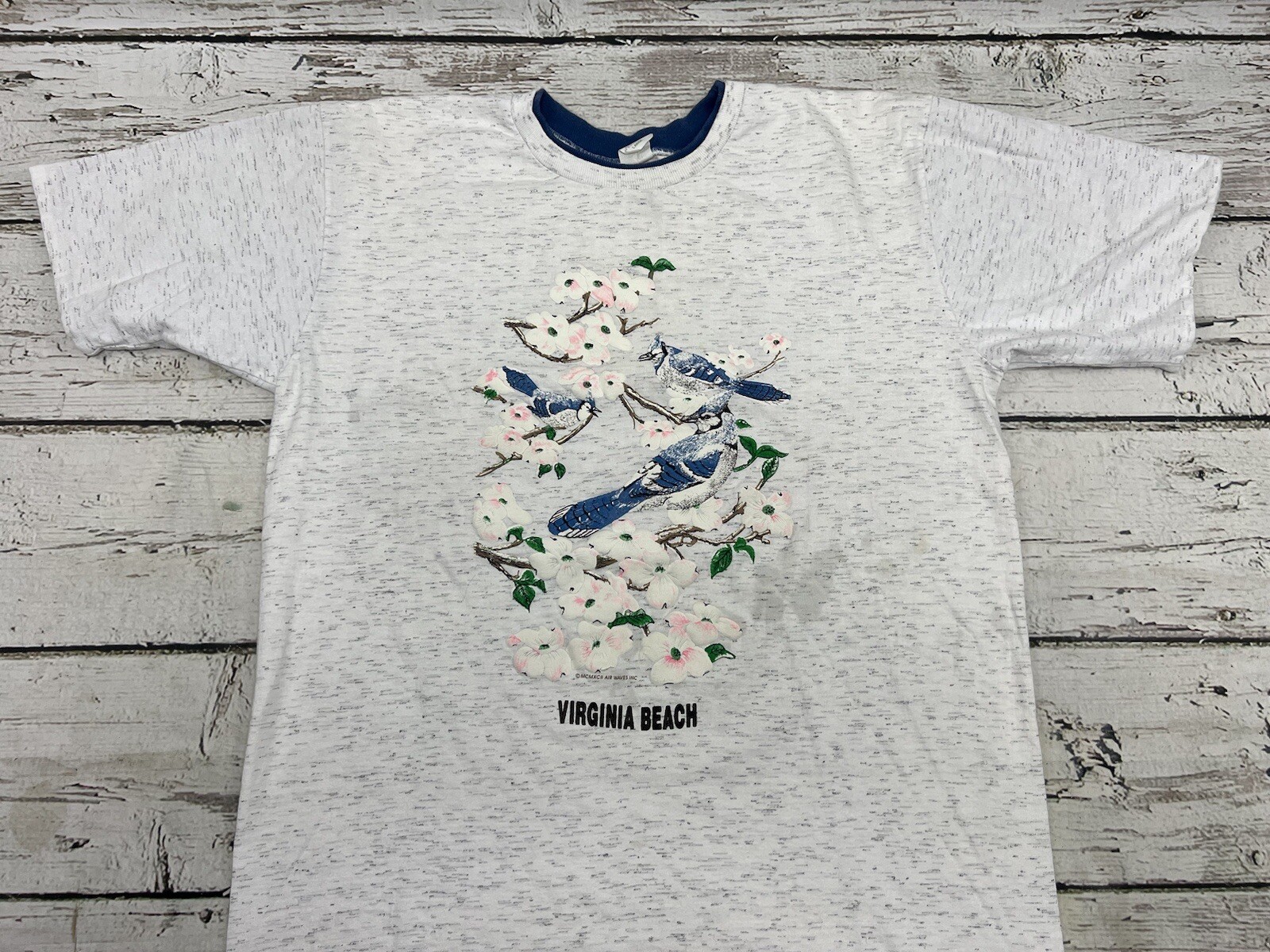 VTG Virginia Beach Blue Jay Birds On Branches Air Waves Single Stitch T-Shirt