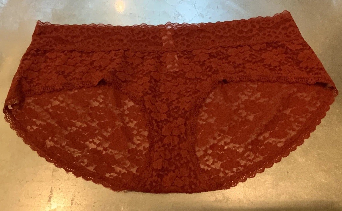 Vtg Auden XL Wine/Rust Sheer Lace Hipster Bikini Panties Panty